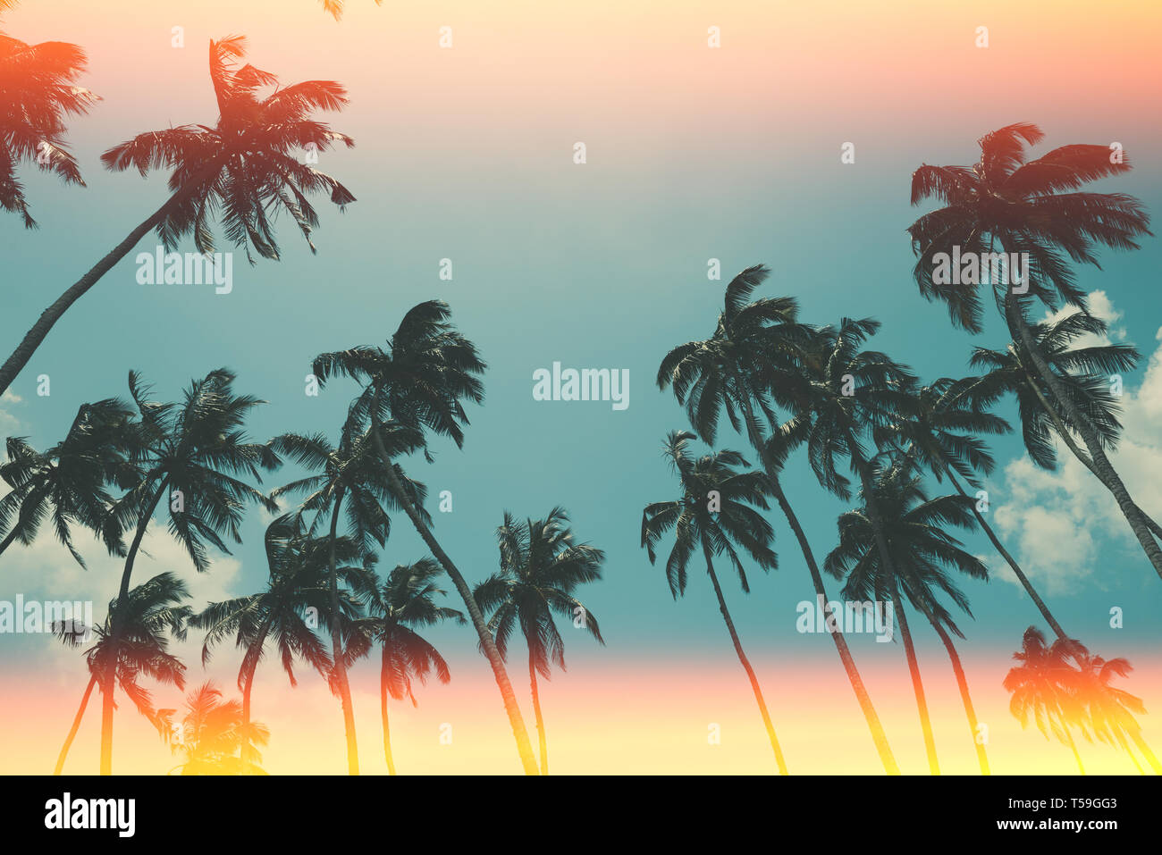 Coconut palm trees on tropical ocean beach, vintage toned and retro ...
