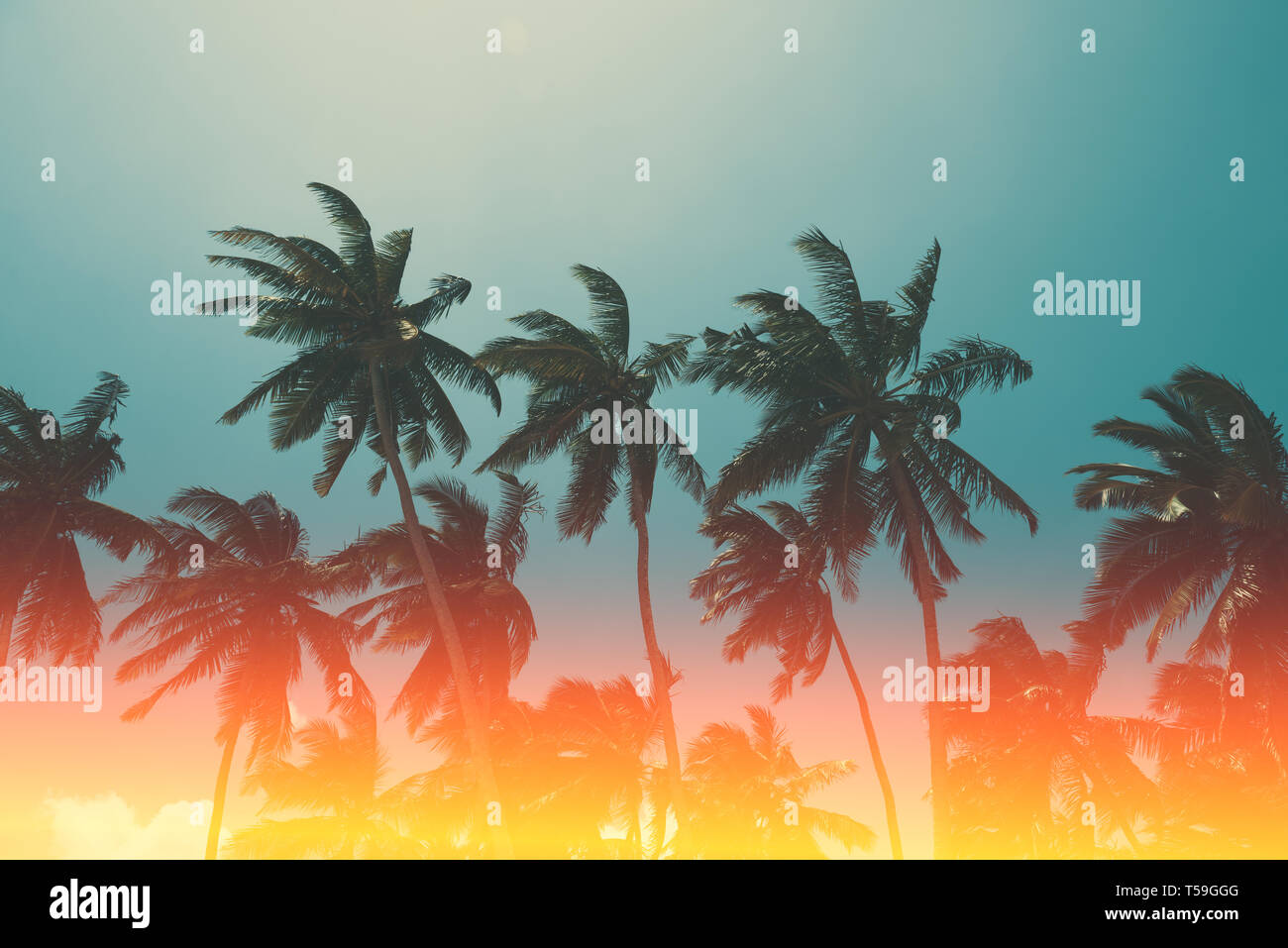 Coconut palm trees on tropical ocean beach, vintage toned and retro ...