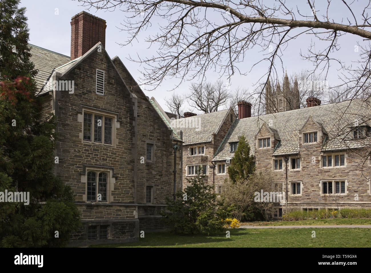 Princeton University Campus. Holder Hall and tower of Rockefeller College. Stock Photo