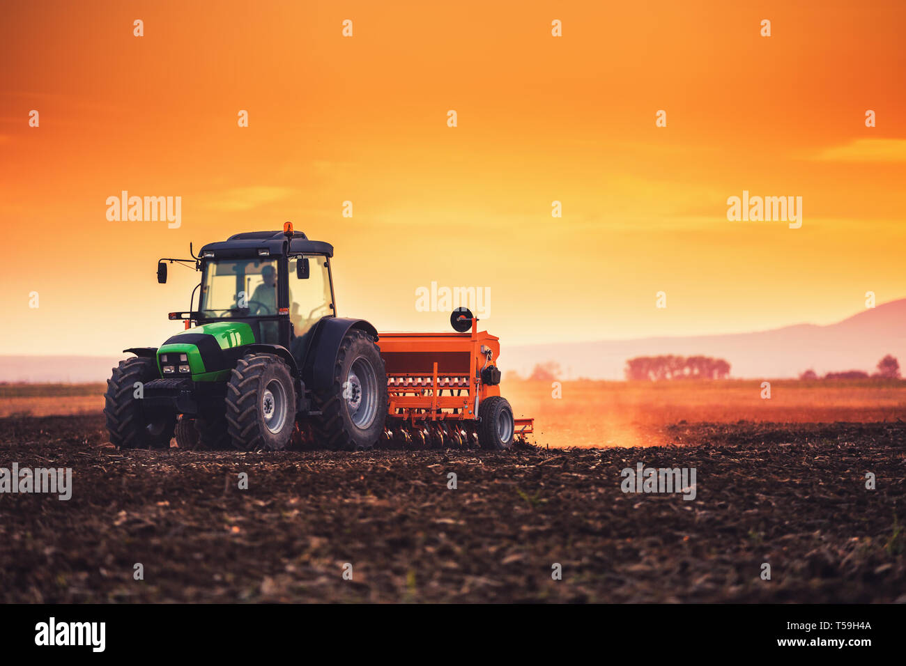 Farmer with tractor seeding crops at field on sunset Stock Photo