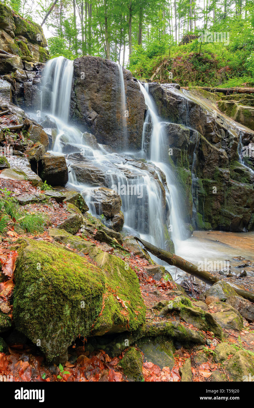 beautiful waterfall in the beech forest. huge mossy wet rocks. wonderful nature background. long exposure Stock Photo