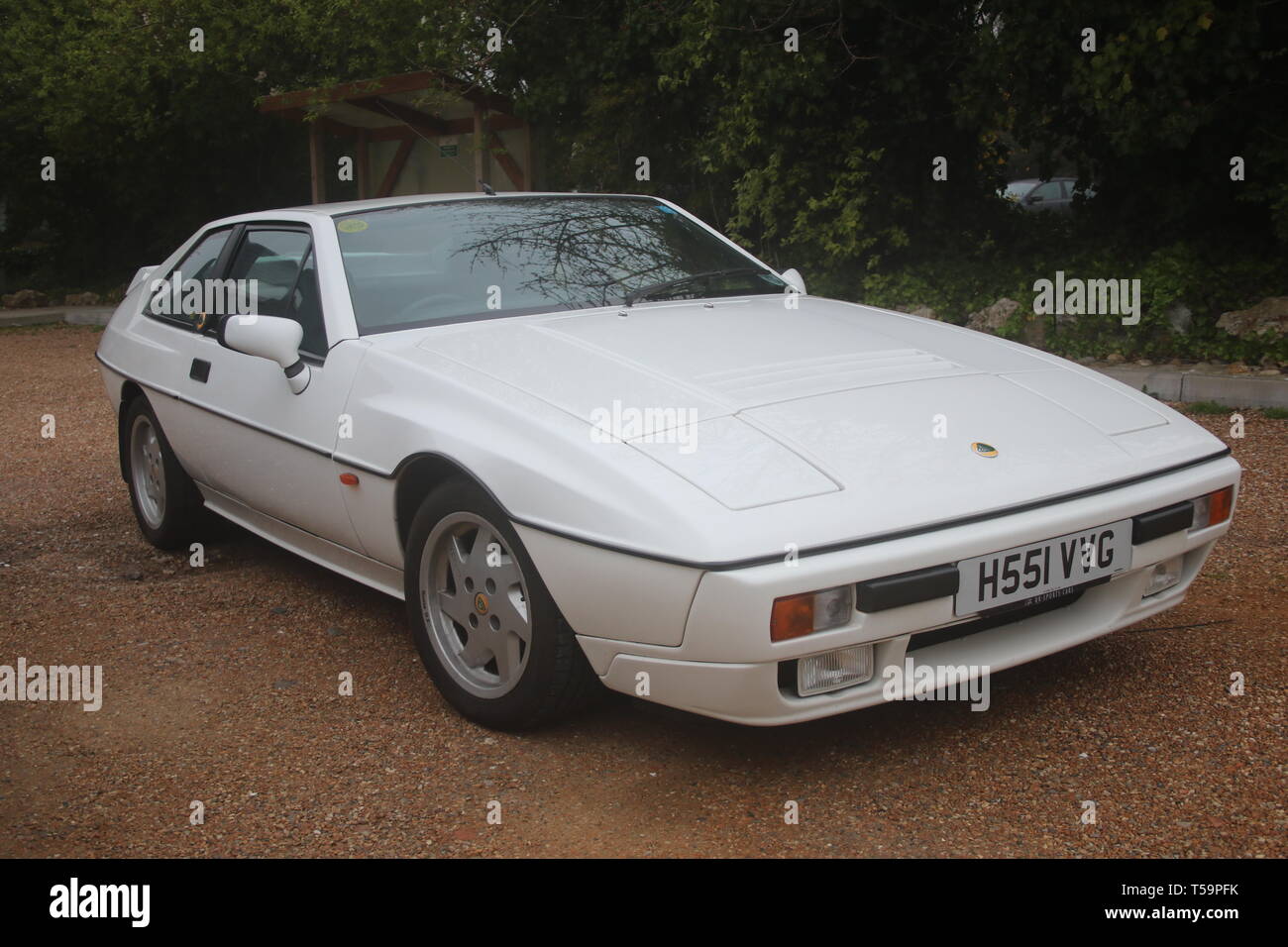 A WHITE LOTUS EXCEL CAR Stock Photo Alamy