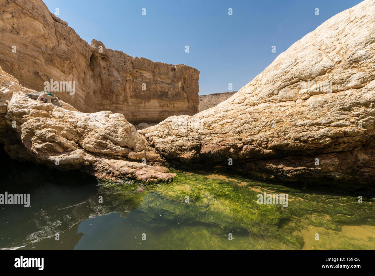 Negev Desert, Israel. The Yamin Waterhole, a large, seasonal pool which exists after desert floods. Stock Photo