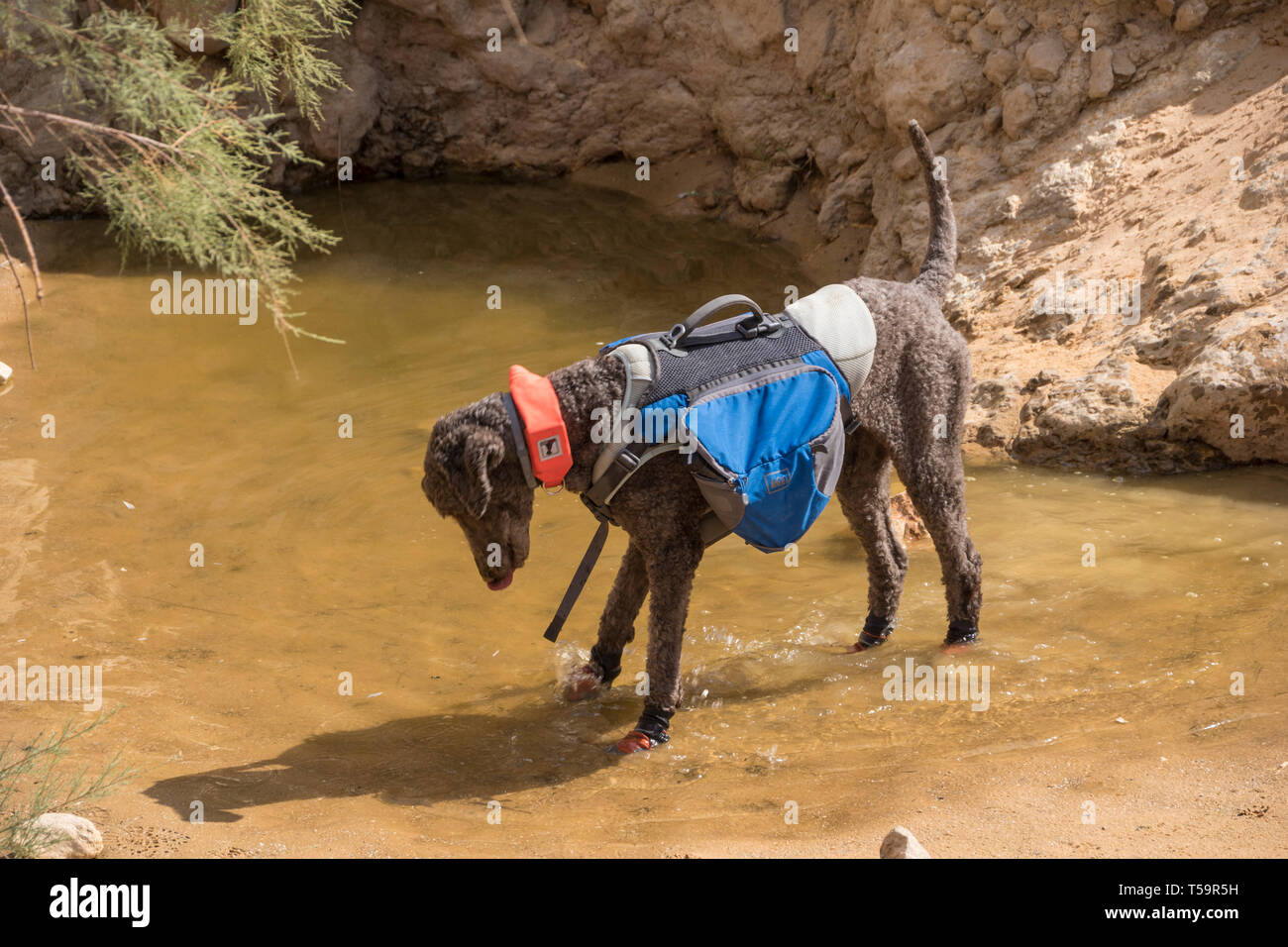 desert hiking gear
