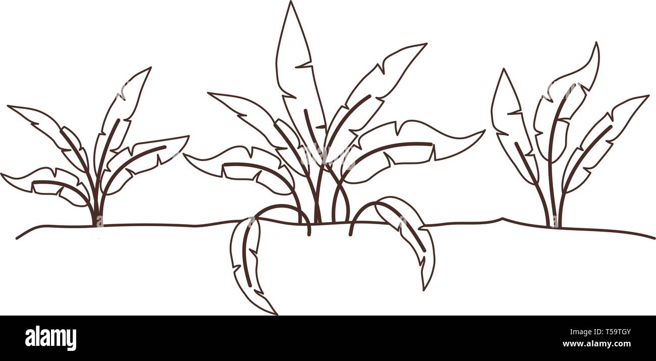 plant in landscape isolated icon Stock Vector Image & Art - Alamy