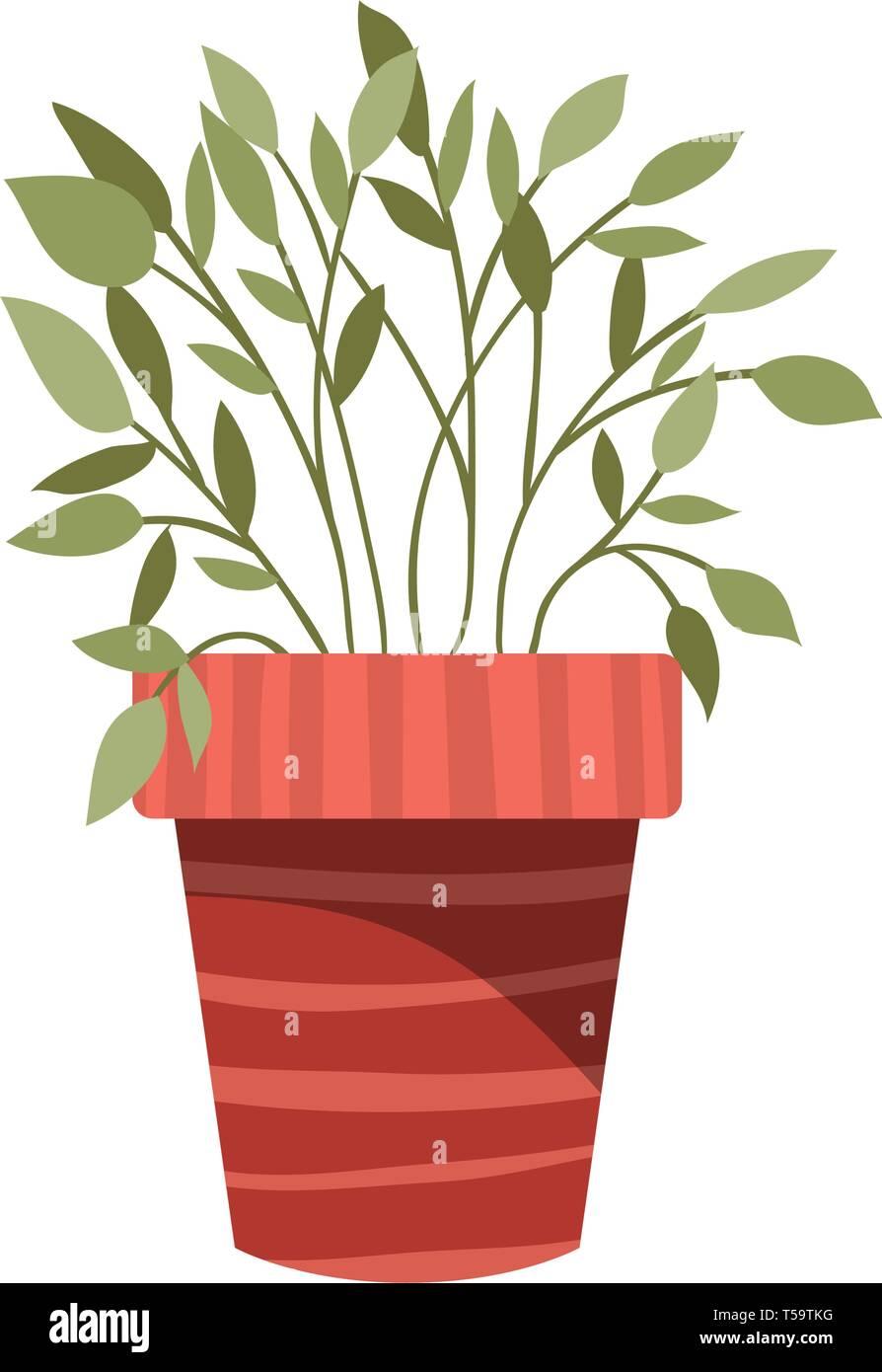 houseplant with potted isolated icon Stock Vector Image & Art - Alamy