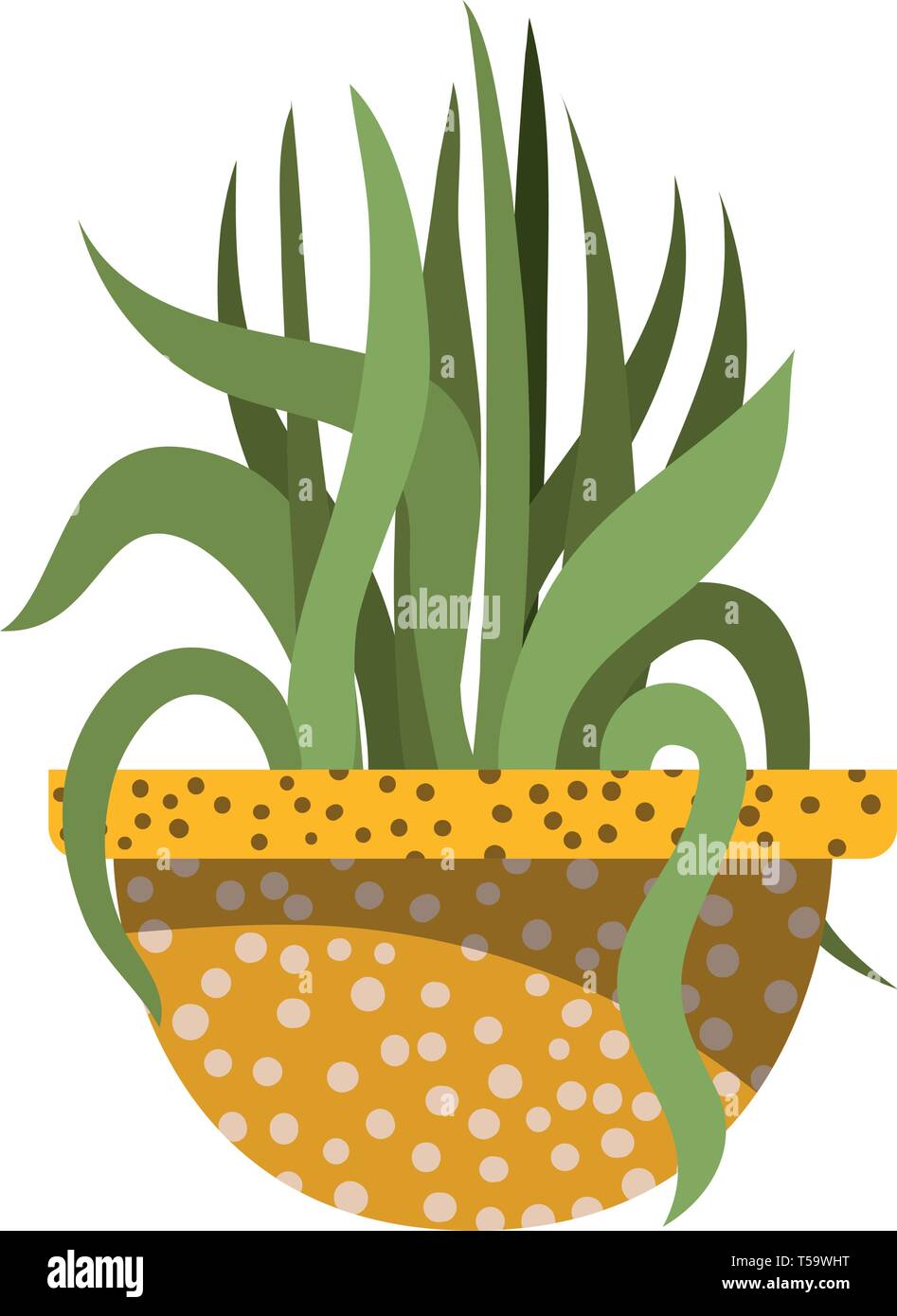 houseplant with potted isolated icon Stock Vector Image & Art - Alamy