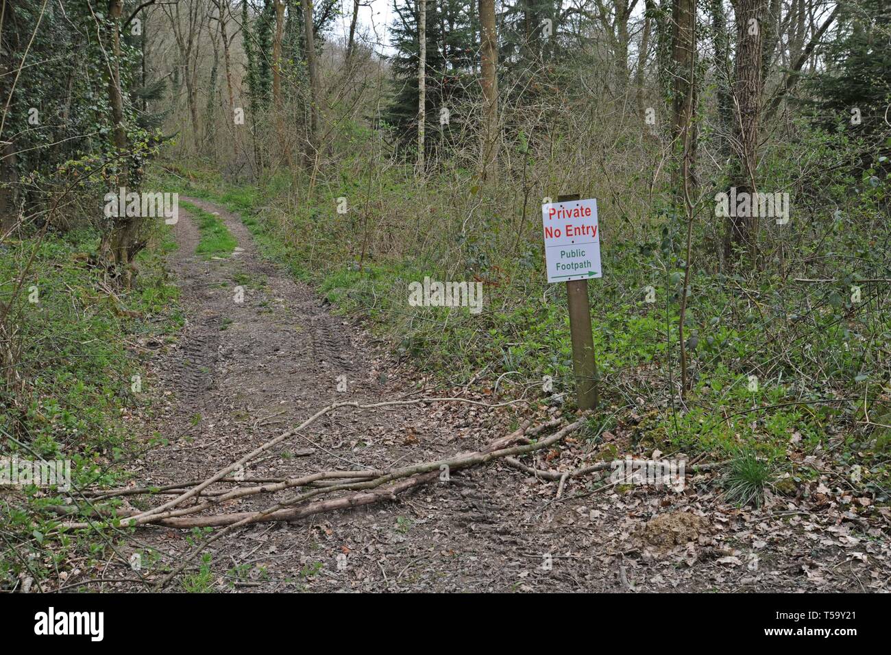 A logging track in Shropshire woods in the springtime with a private sign Stock Photo