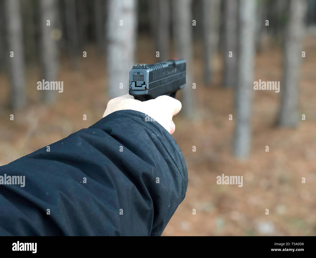 Gun Rights Stock Photo