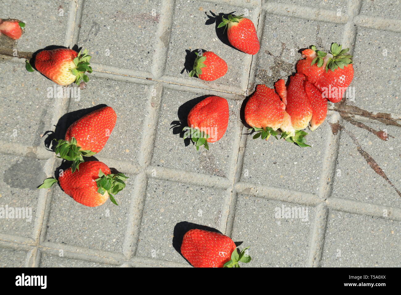 Red ripe smashed strawberries on grey concrete paving slab. Stock Photo