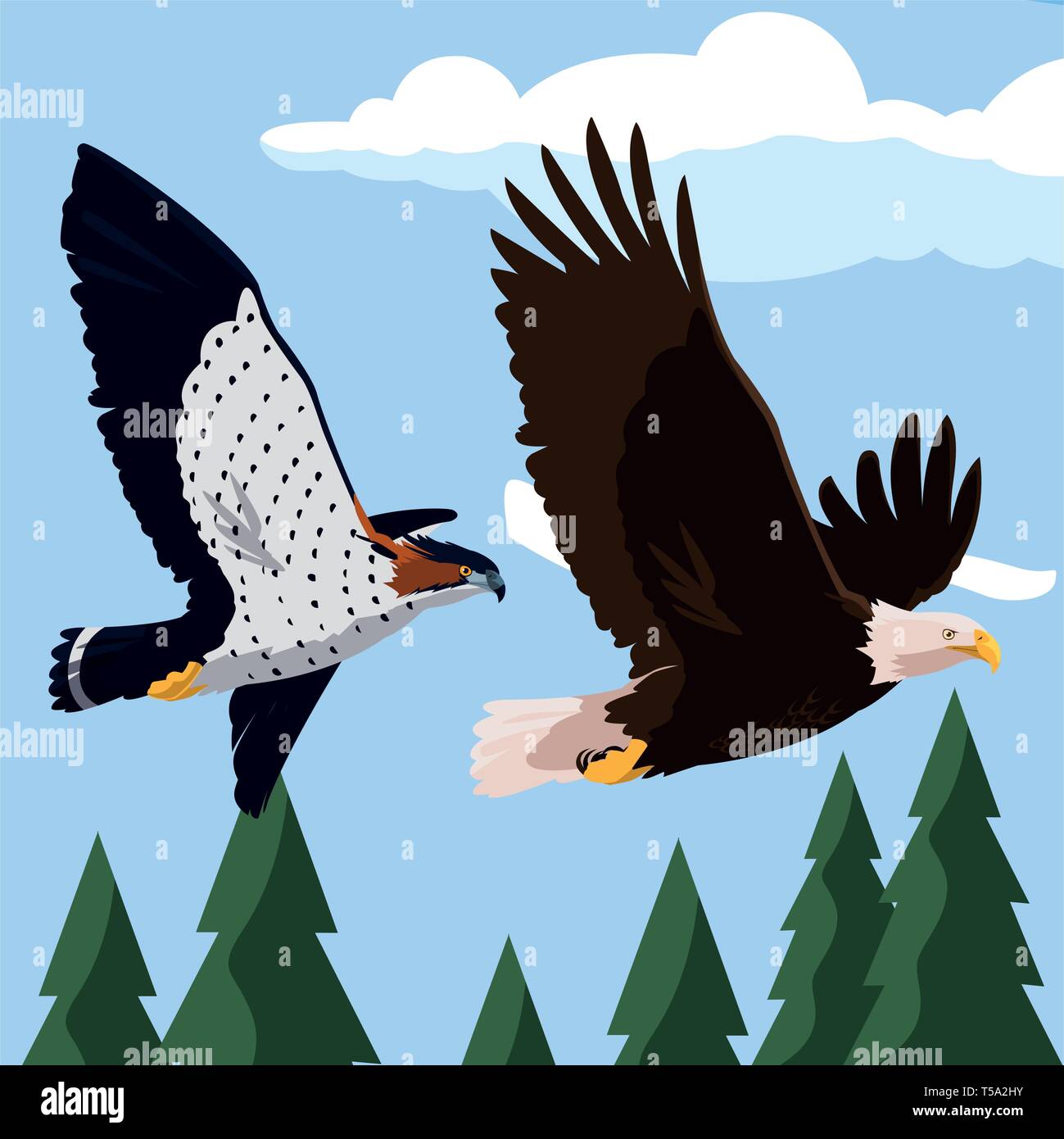 beautiful bald eagle and hawk flying in the landscape vector ...
