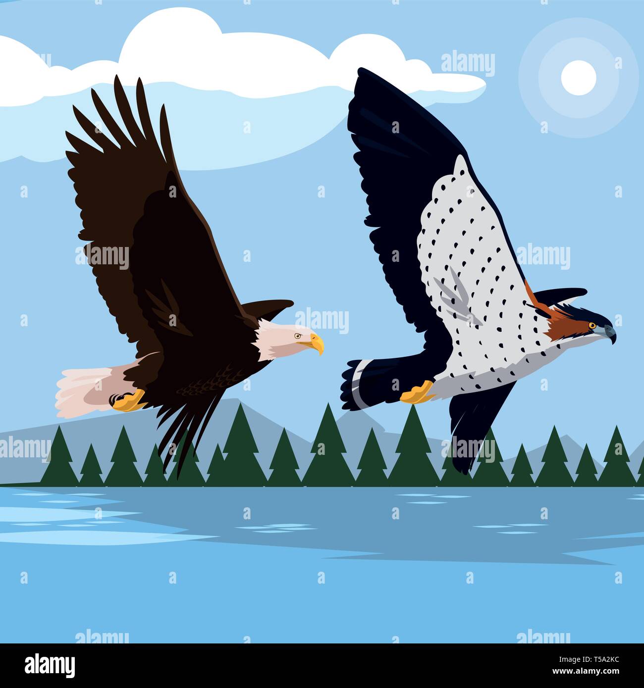 beautiful bald eagle and hawk flying in the landscape vector illustration design Stock Vector