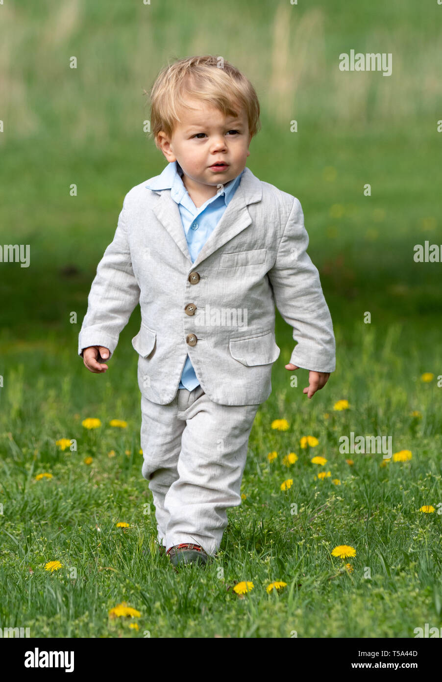 Little Boy in Easter Suit Stock Photo Alamy