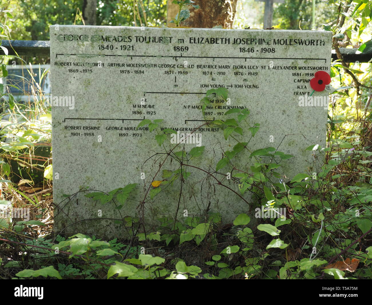 Unusual gravestone with a family tree diagram, in the huge and old Karori Cemetery, Wellington, NZ Stock Photo