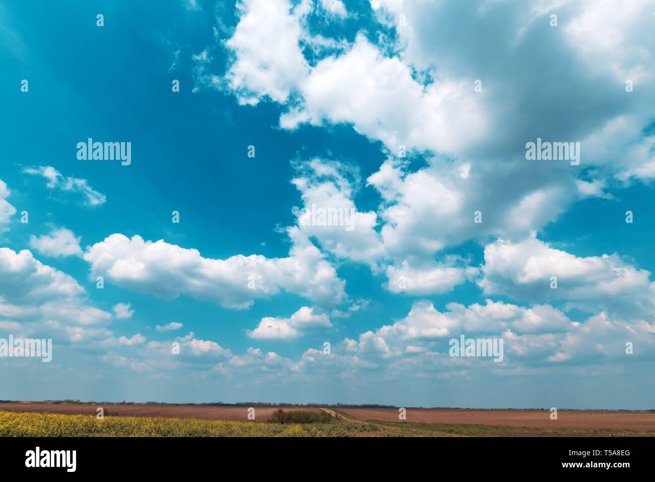 White clouds over countryside landscape on sunny springtime day Stock Photo