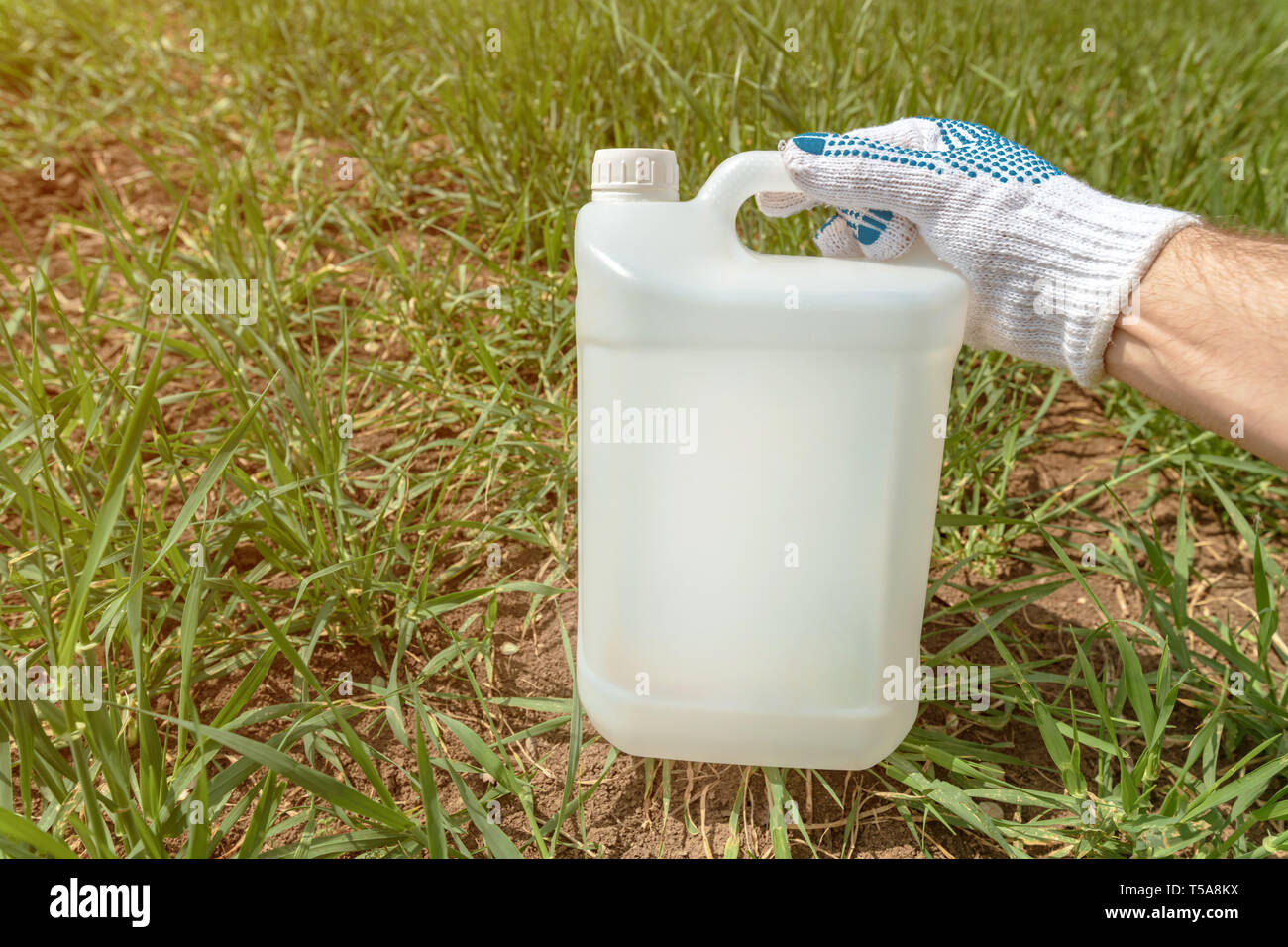 Farmer holding insecticide jug in wheatgrass field, blank plastic container for pesticide chemical as mock up Stock Photo