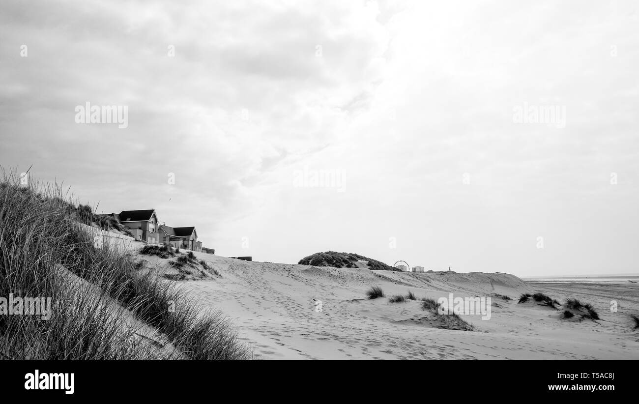 Paysage de plage Black and White Stock Photos \u0026 Images - Alamy, image size:1300x822