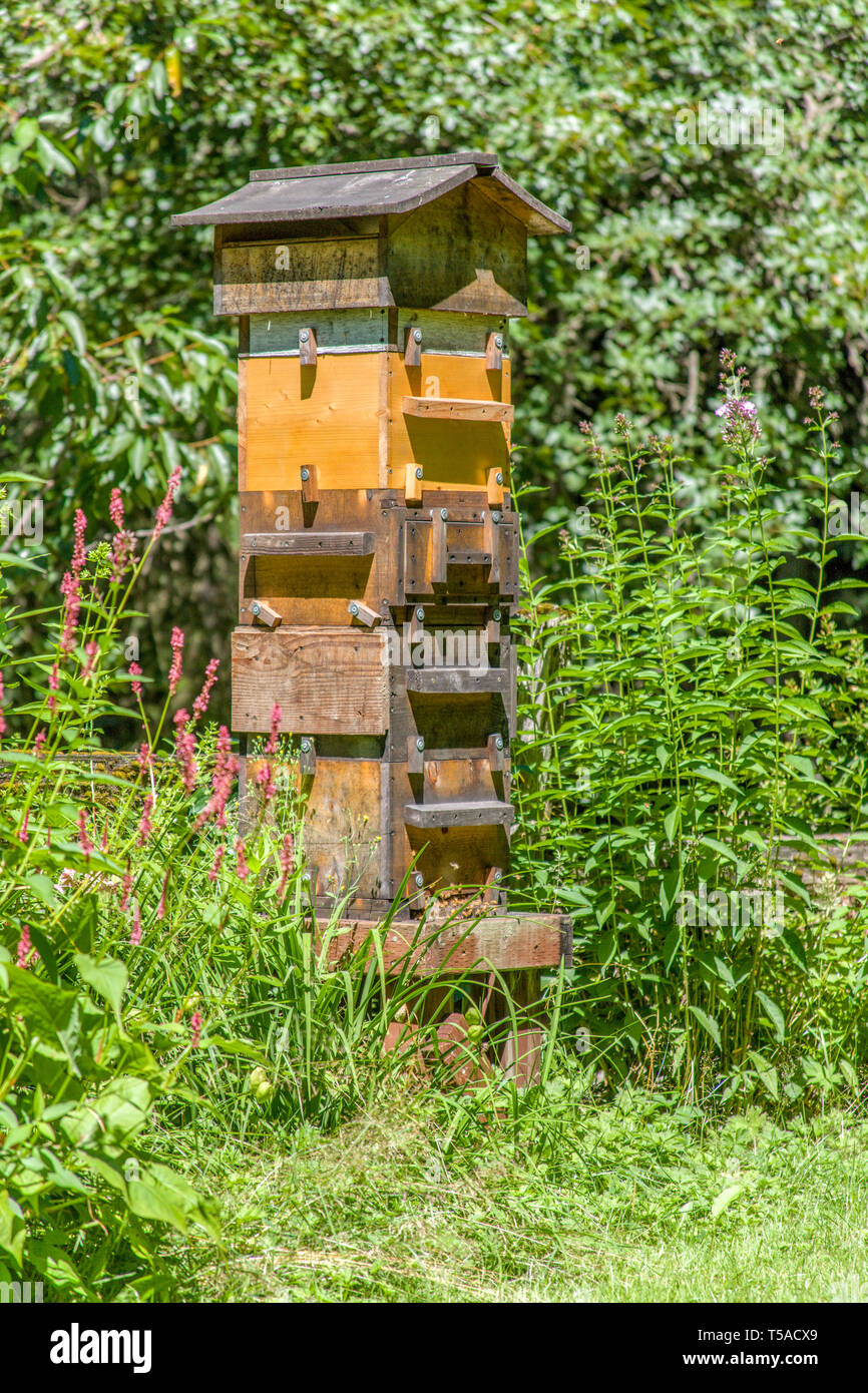Snoqualmie, Washington, USA.  A Warre hive is a vertical top bar hive that uses bars instead of frames, usually with a wooden wedge or guide on the ba Stock Photo