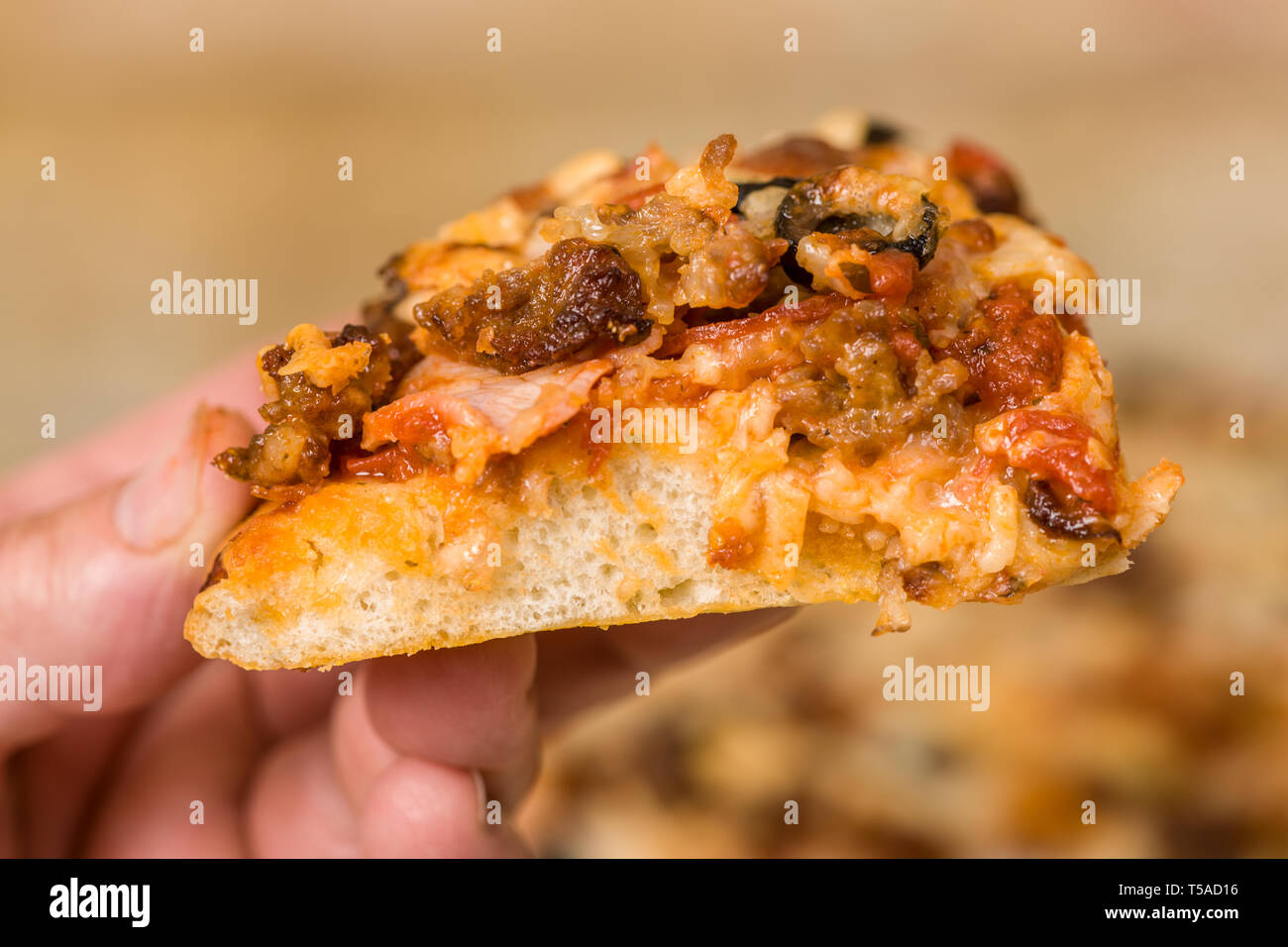 Homemade meat and veggie pizza with toppings of sausage, pepperoni, canadian bacon, black olives