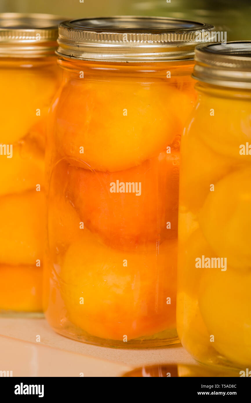 Jars of peaches sealed with a canning lid and ring, ready to be processed in a hot water bath