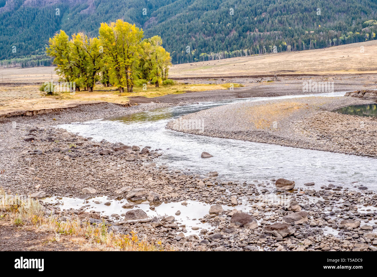 Yellowstone National Park, Wyoming, USA.  Scenic landscape of Slough Creek, a tributary of the Lamar River, in the Lamar Valley. Stock Photo