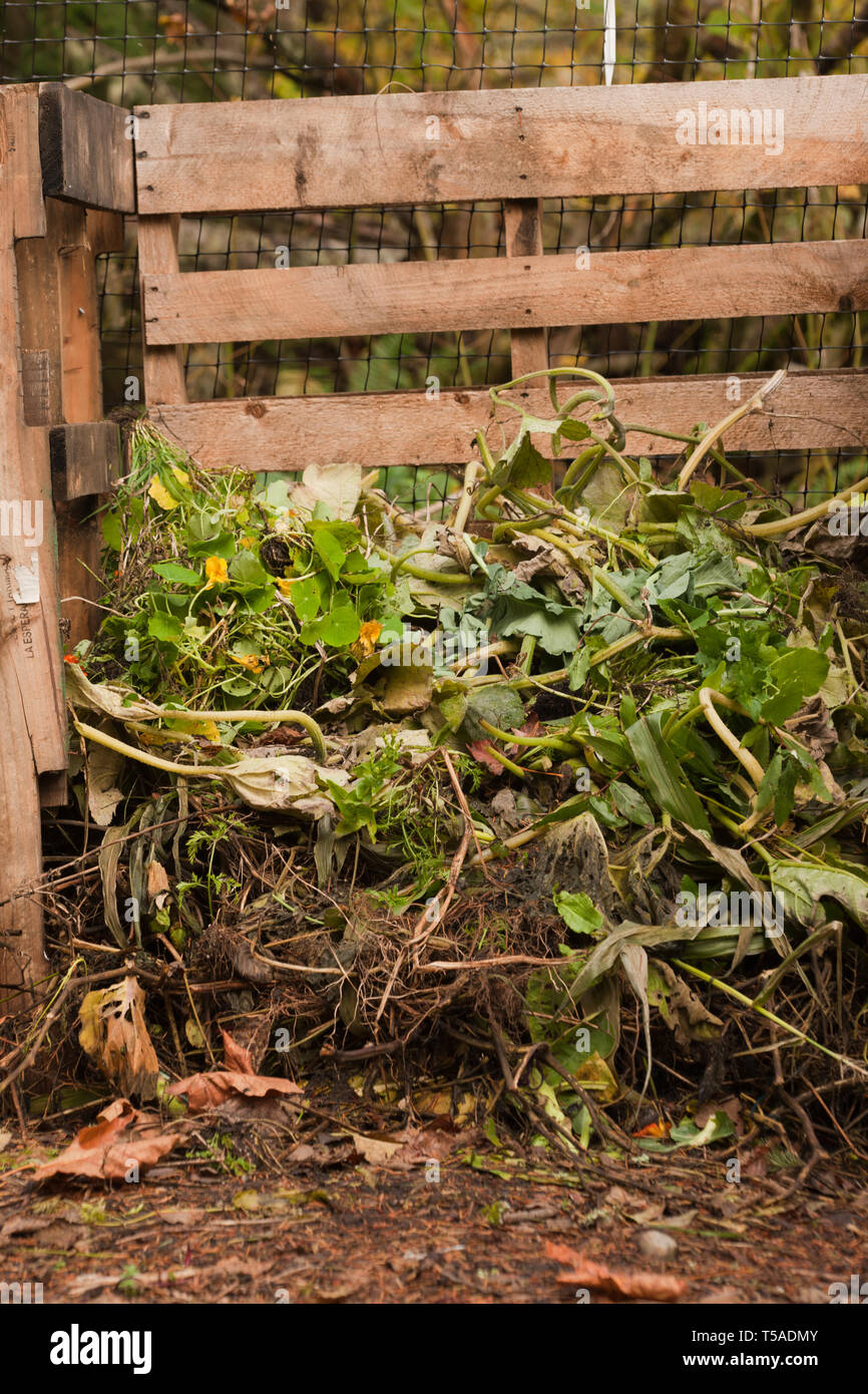 Issaquah Washington Usa Compost Pile Half Full Stock Photo