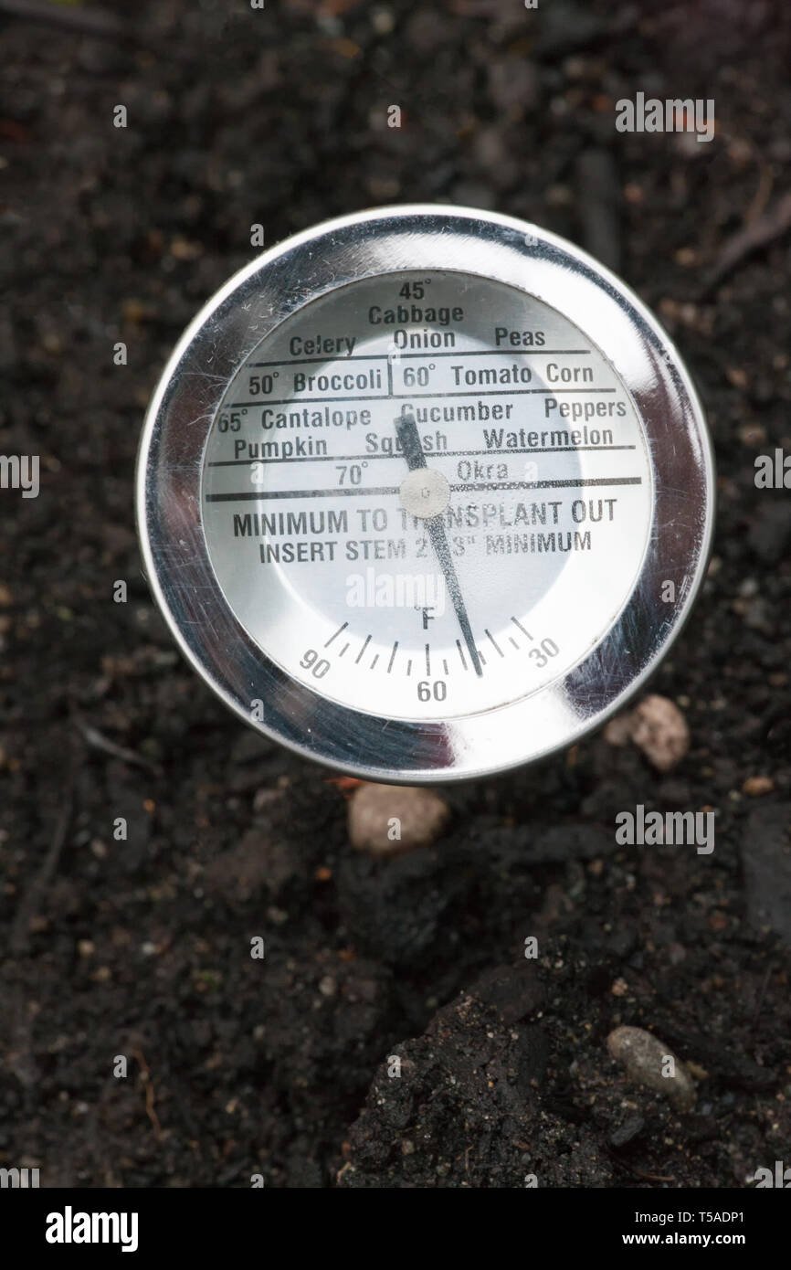 Issaquah, Washington, USA. Soil thermometer to measure garden