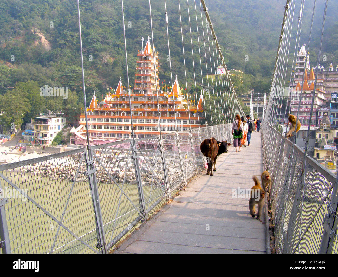India rishikesh bridge hi-res stock photography and images - Alamy