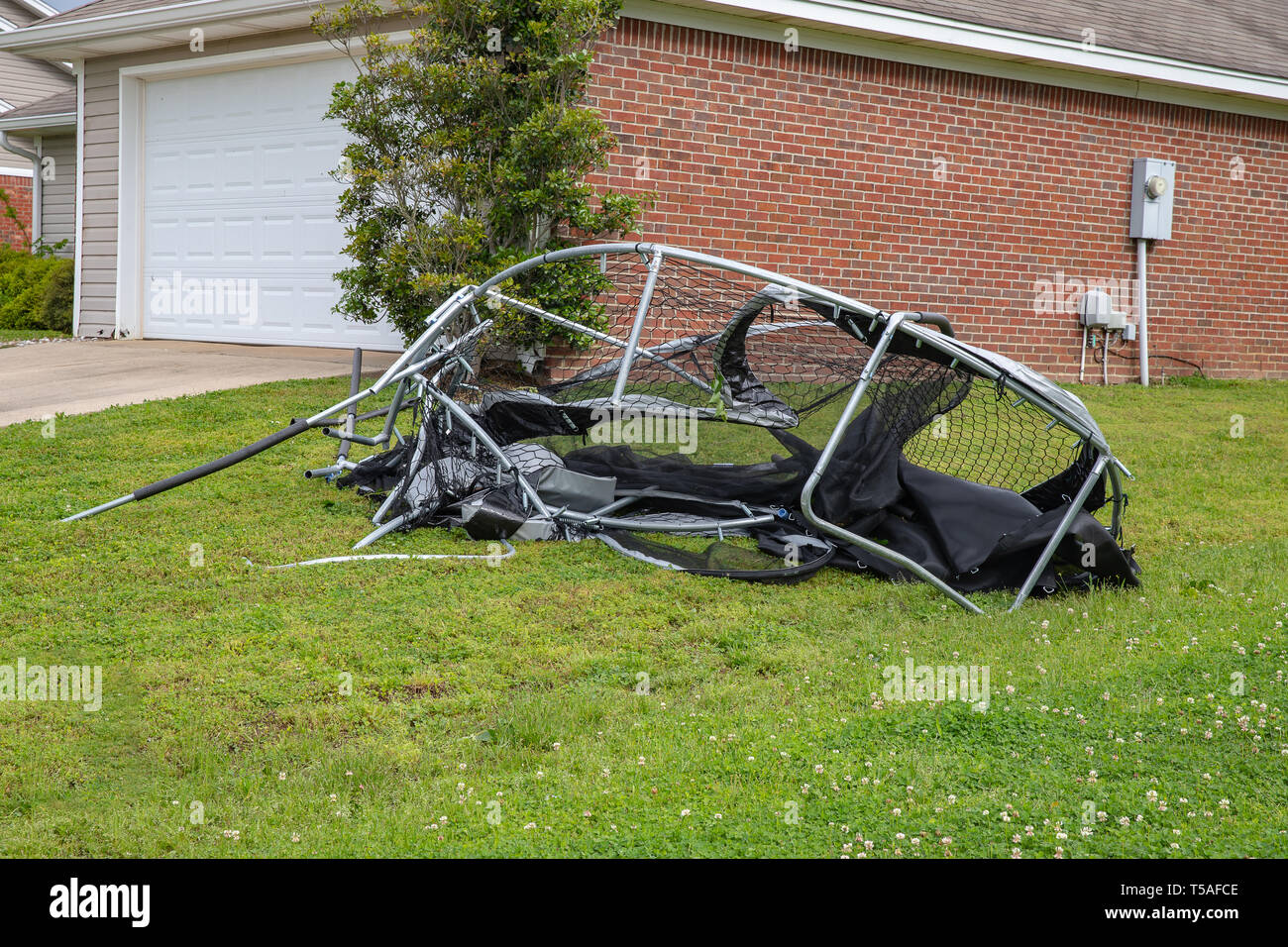 Mangled by nature hi-res stock photography and images - Alamy