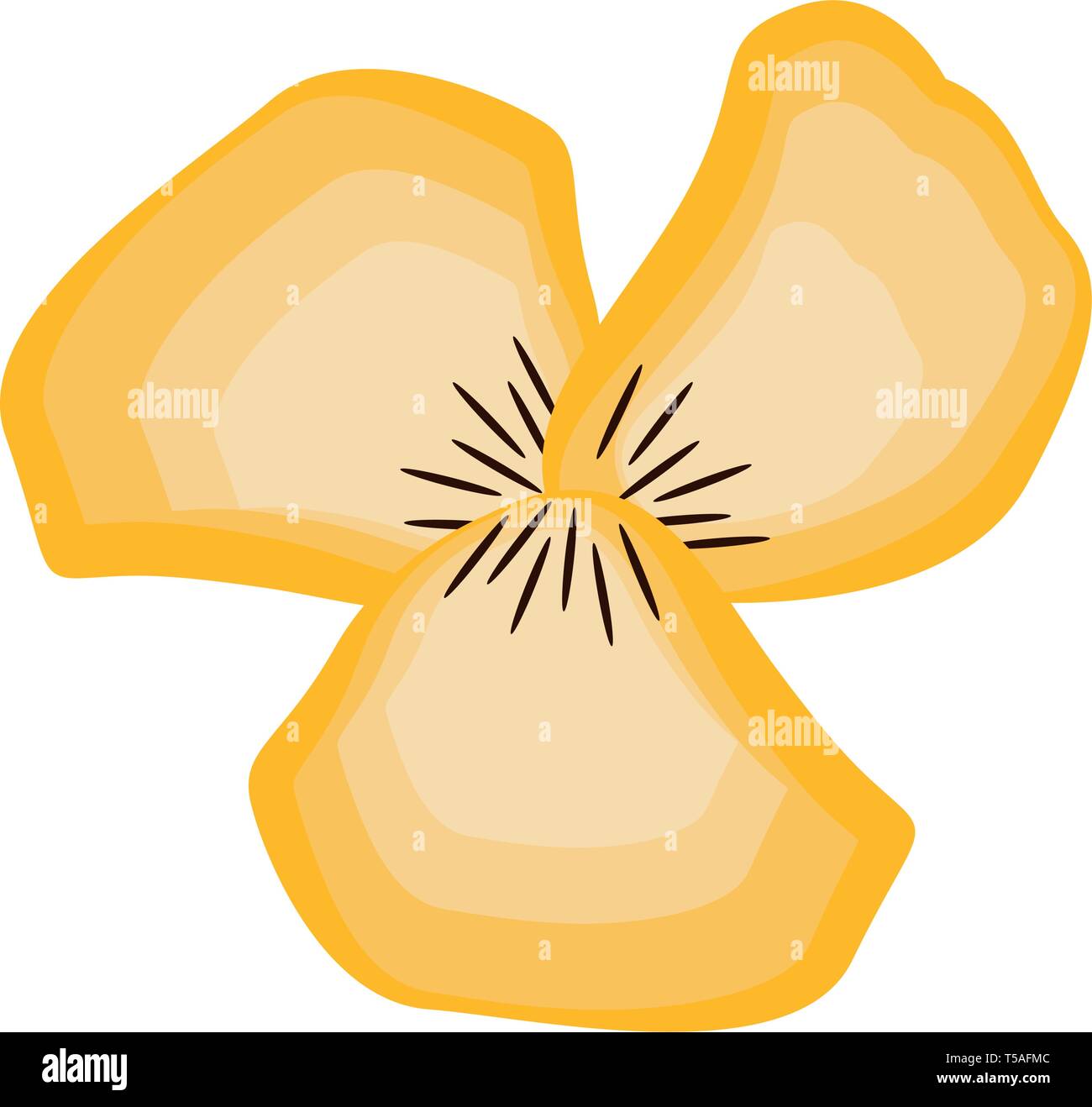 Isolated beautiful flower Stock Vector Image & Art - Alamy