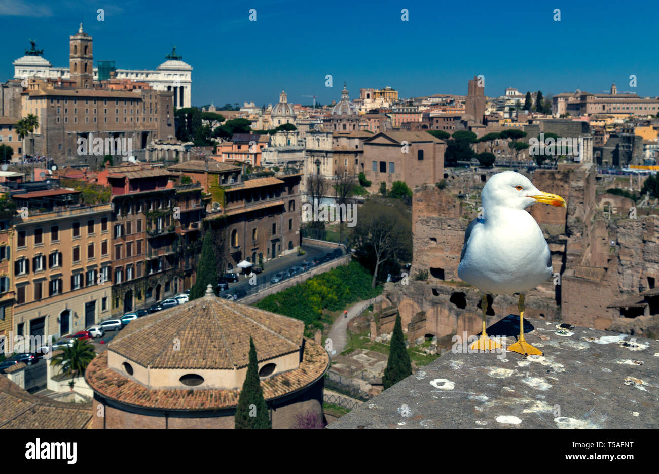 Palatine and roman Forum. Rome, Italy. - Stock Image
