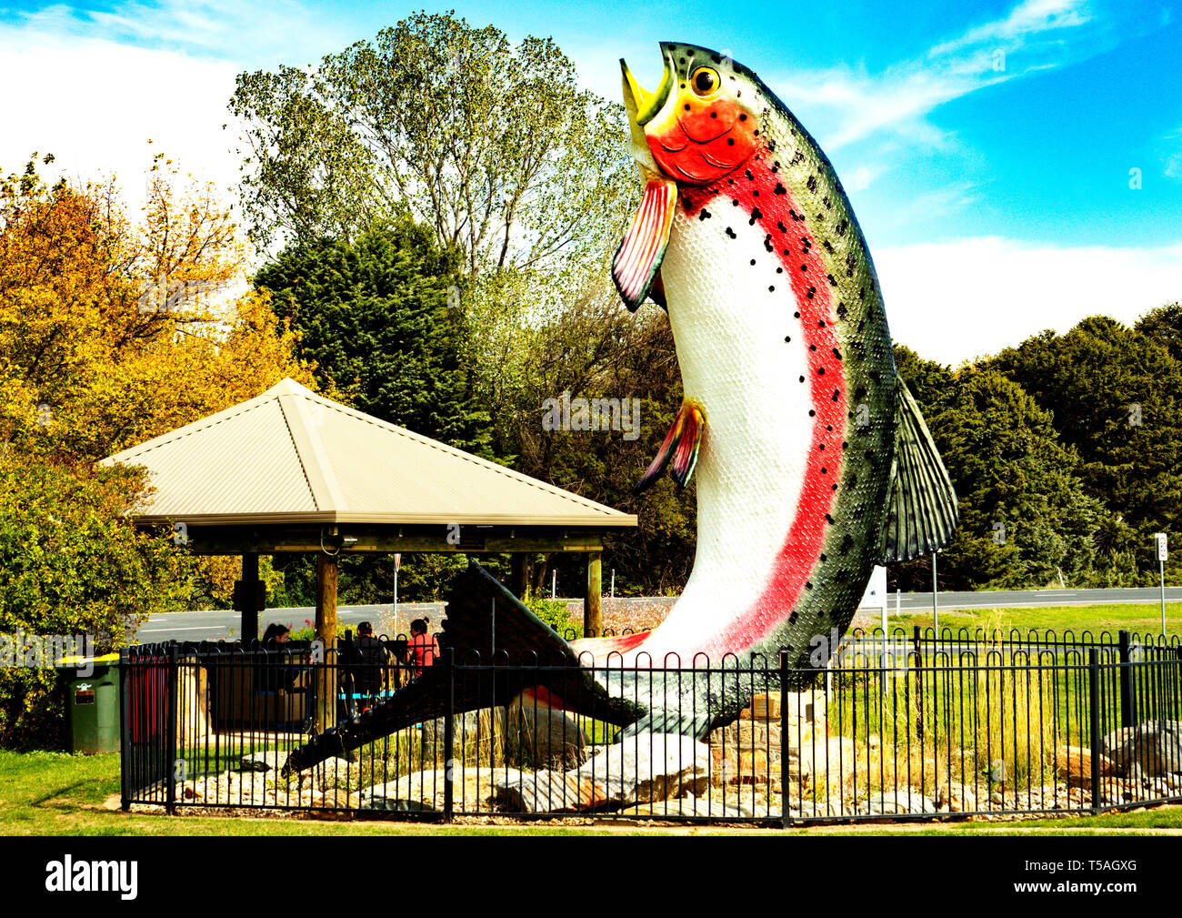 The Big Trout is a major tourist attraction at Adaminaby, a small