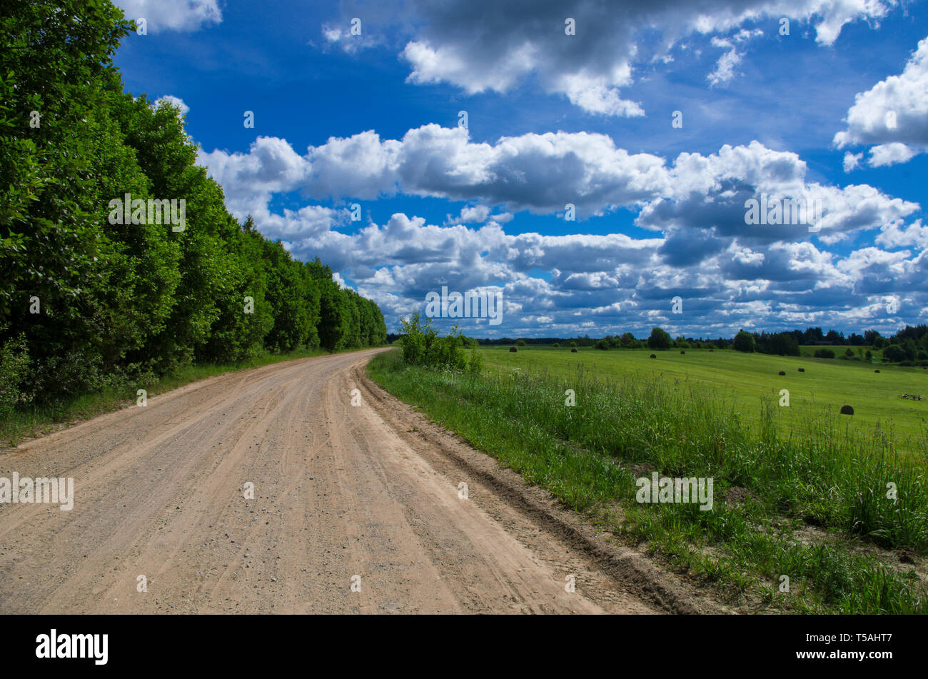 Idyllic summer landscape with green meadow and forest and blue sky with ...
