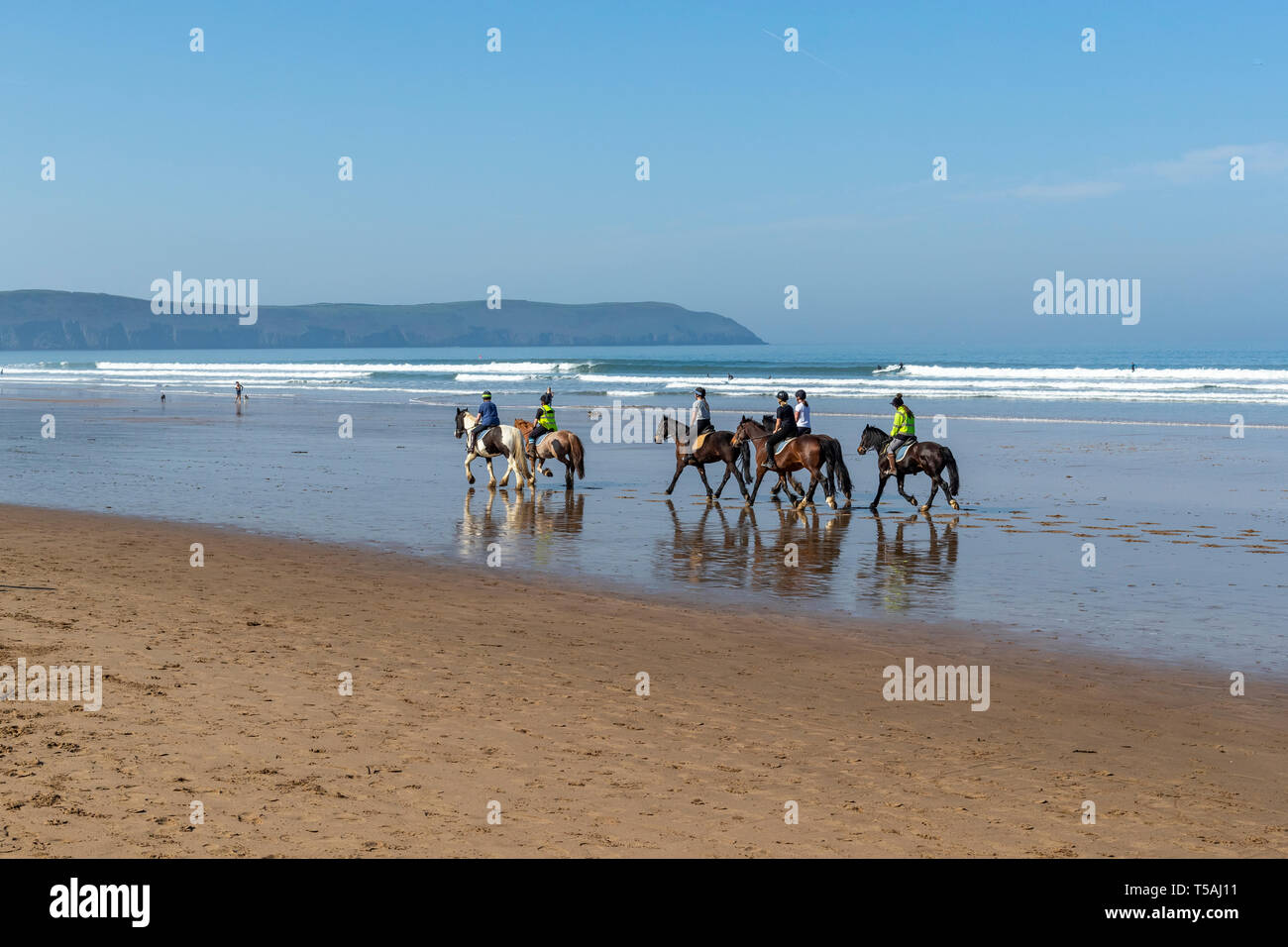 Horse riding in the dunes and on the beach. Riding school staff guide