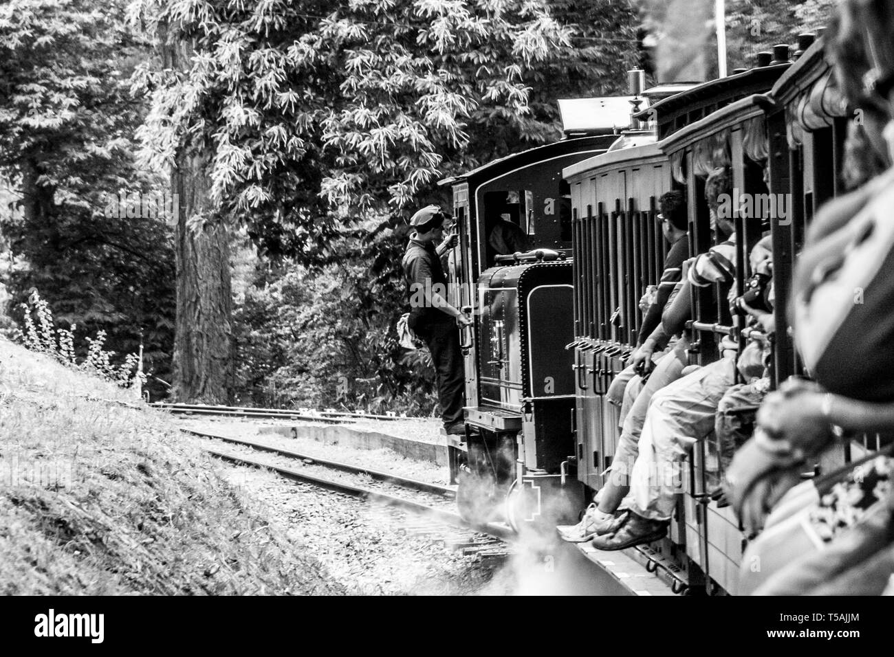 Belgrave, Victoria, Australia - January 7, 2009: Puffing Billy steam train with passengers. Historical narrow railway in the Dandenong Ranges. Stock Photo