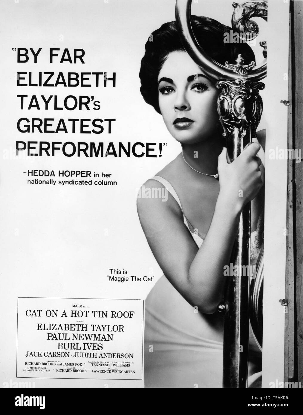 Elizabeth Taylor CAT ON A HOT TIN ROOF 1958 director Richard Brooks play Tennessee Williams Avon Productions / Metro Goldwyn Mayer Stock Photo