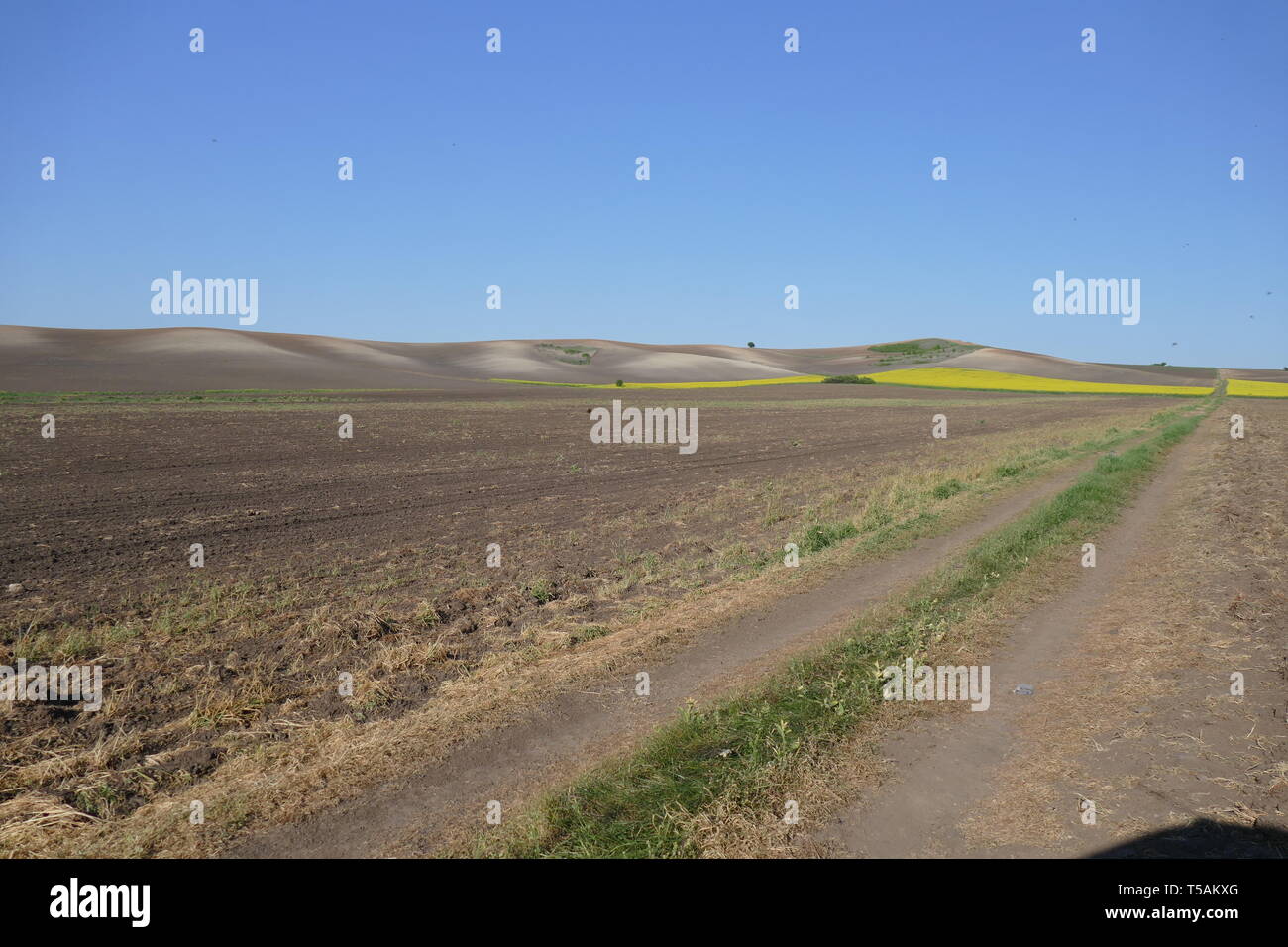 Spacious Field Agricultural land. Treated spacious field in the plane. Ploughing time ...