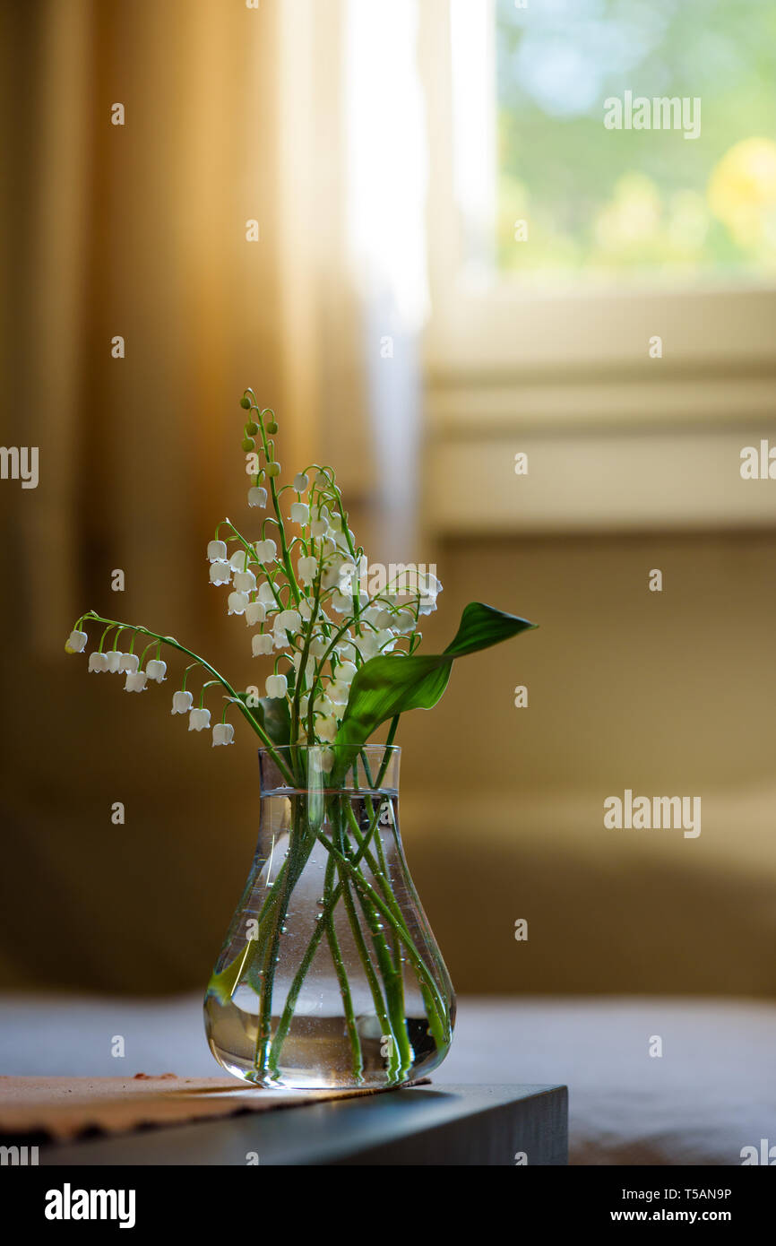 Withe Trush White Trush Flower (Convallaria majalis) o Lily Flower Stock Photo - Alamy