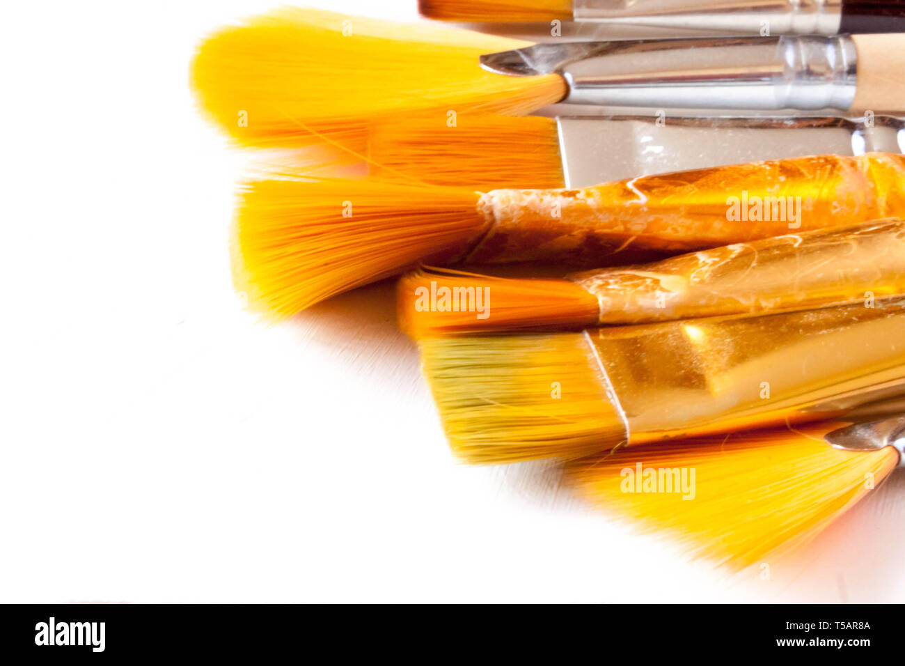 Download 4200 Background Alam Fokus Paling Keren