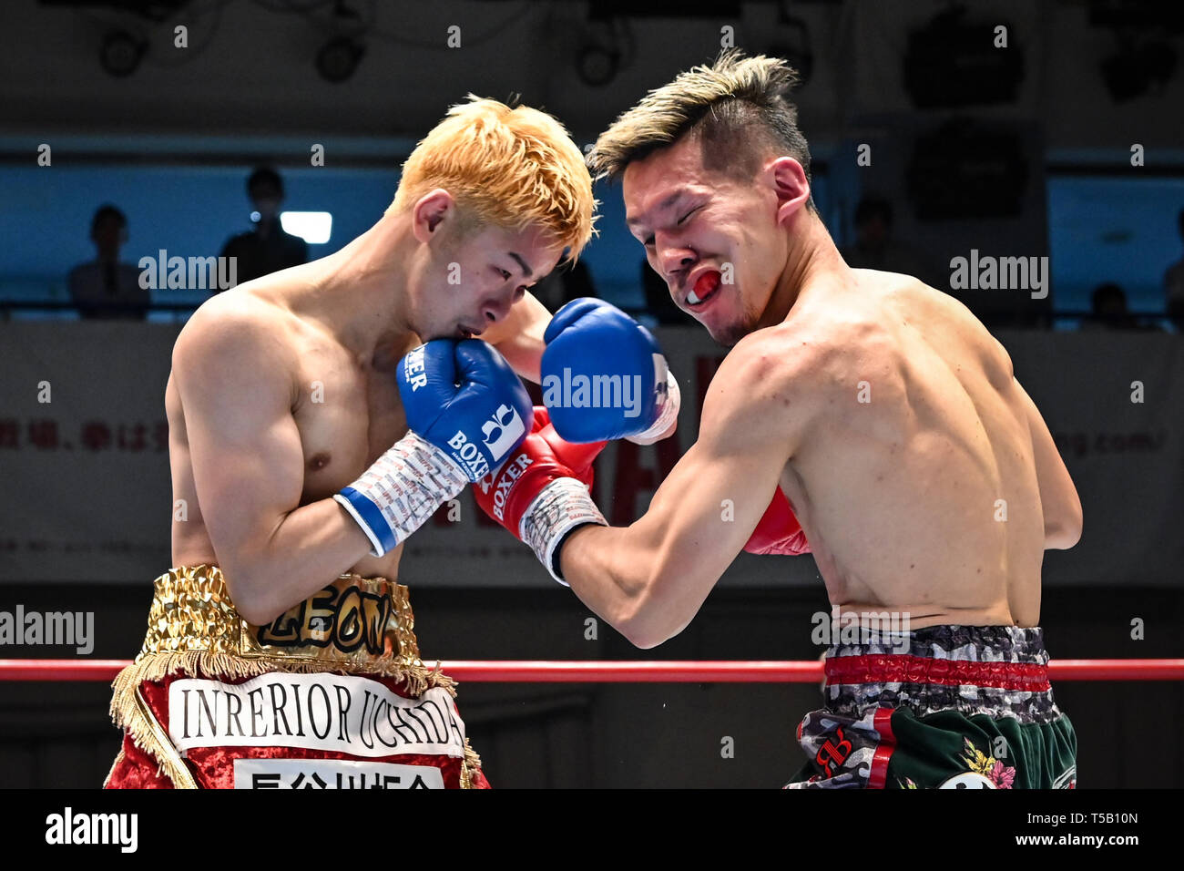 Tokyo Japan 18th Apr 2019 L R Hayato Kimura Yuta Saito JPN Tokyo Japan 18th Apr 2019 L R Hayato Kimura Yuta Saito Jpn Boxing Hayato Kimura Of Japan Hits Yuta Saito Of Japan In The Second Round During The Japanese Title Bout At Korakuen Hall In Tokyo Japan Credit Hiroaki Live News T5B10N