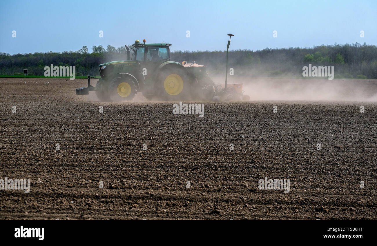 23 April 2019, Saxony-Anhalt, Schönebeck: A farmer cultivates a field in the Magdeburger Börde near Schönebeck and pulls a dust flag behind him because of the dryness. Photo: Peter Förster/dpa-Zentralbild/ZB Stock Photo