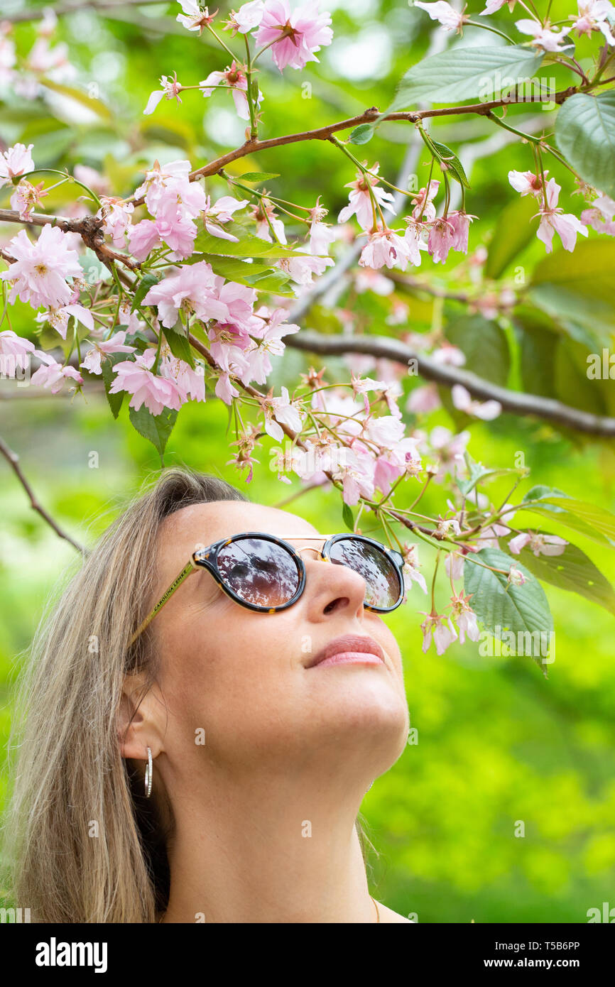 Greenwich, United Kingdom. 23rd April, 2019. Londoner Lizzie Cooper pauses to enjoy the cherry blossom in Greenwich Park. The popular avenue of cherry blossom in Greenwich Park, south east London, continues to draw visitors. Rob Powell/Alamy Live News Stock Photo