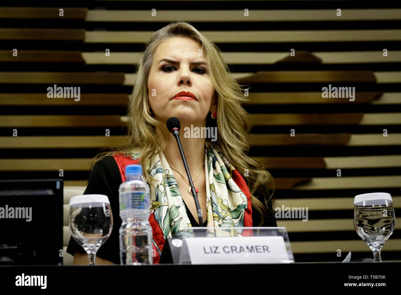 SÃO PAULO, SP - 23.04.2019: ENCONTRO EMPRESARIAL BRASIL PARAGUAI - In the photo, the Minister of Industry and Commerce of Paraguay, Liz Cramer. The Federation of Industries of the State of São Paulo (Fiesp) will receive on Tuesday (23), the Minister of Industry and Commerce of Paraguay, Liz Cramer at the Brazil-Paraguay Business Meeting. The President of the Central Bank of Paraguay, José Cantero, and the President of the Paraguay-Brazil Chamber of Commerce, Rubens Jacks, will also participate in the event, which will discuss the macroeconomic situation of Paraguay, as well as business and inv Stock Photo