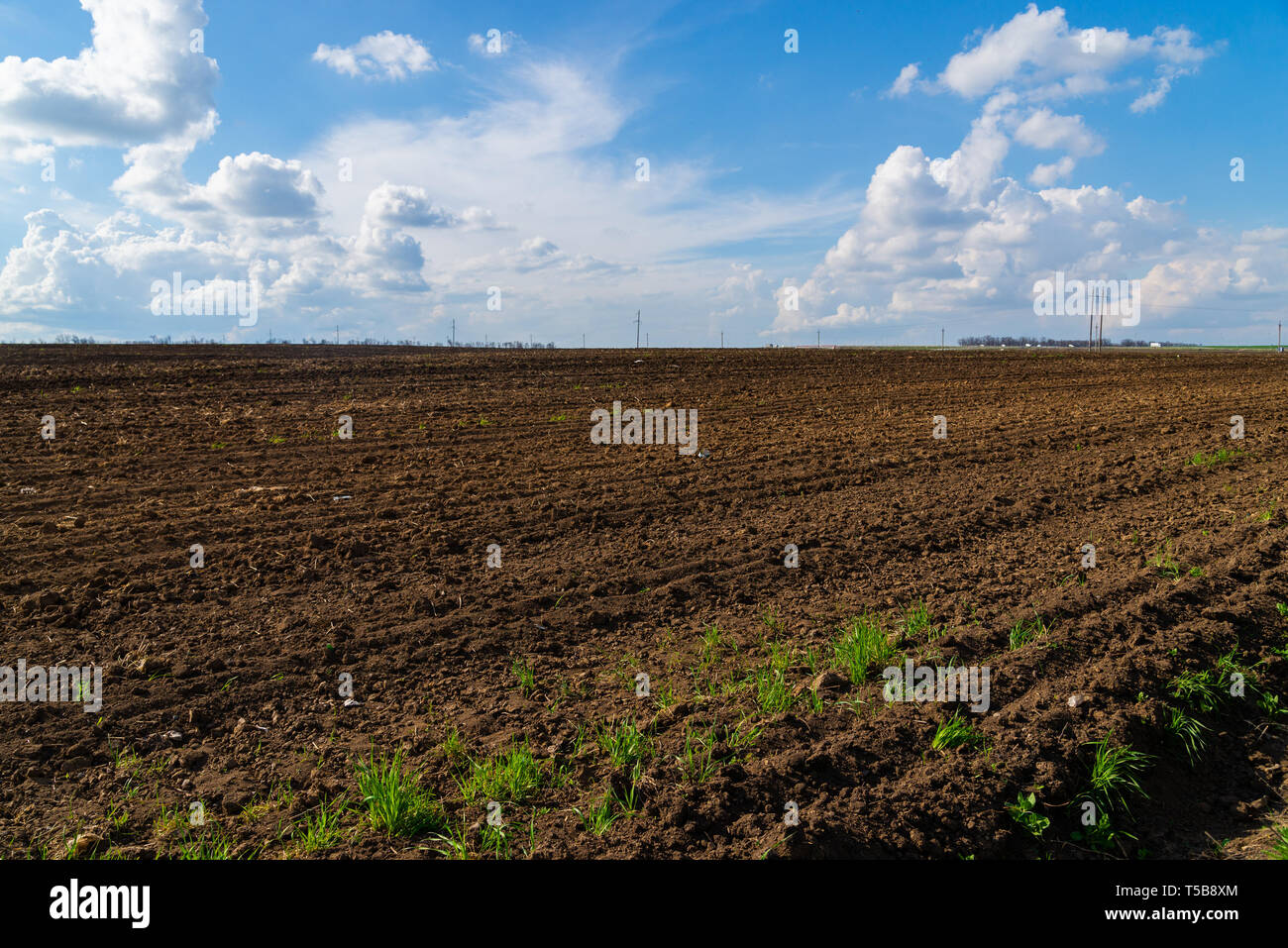 black agriculture field and blue sky with clouds Stock Photo - Alamy
