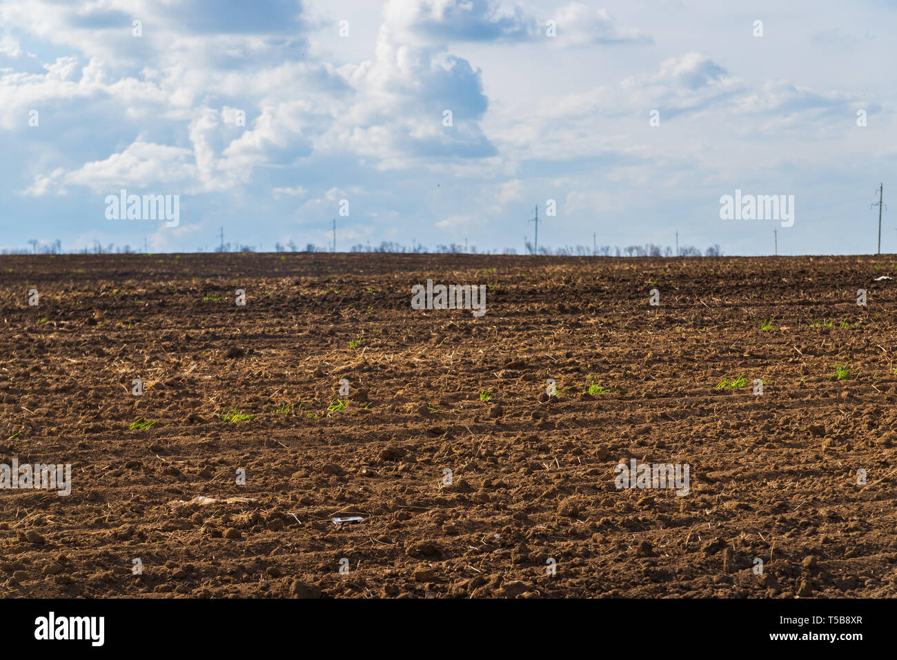 black agriculture field and blue sky with clouds Stock Photo - Alamy