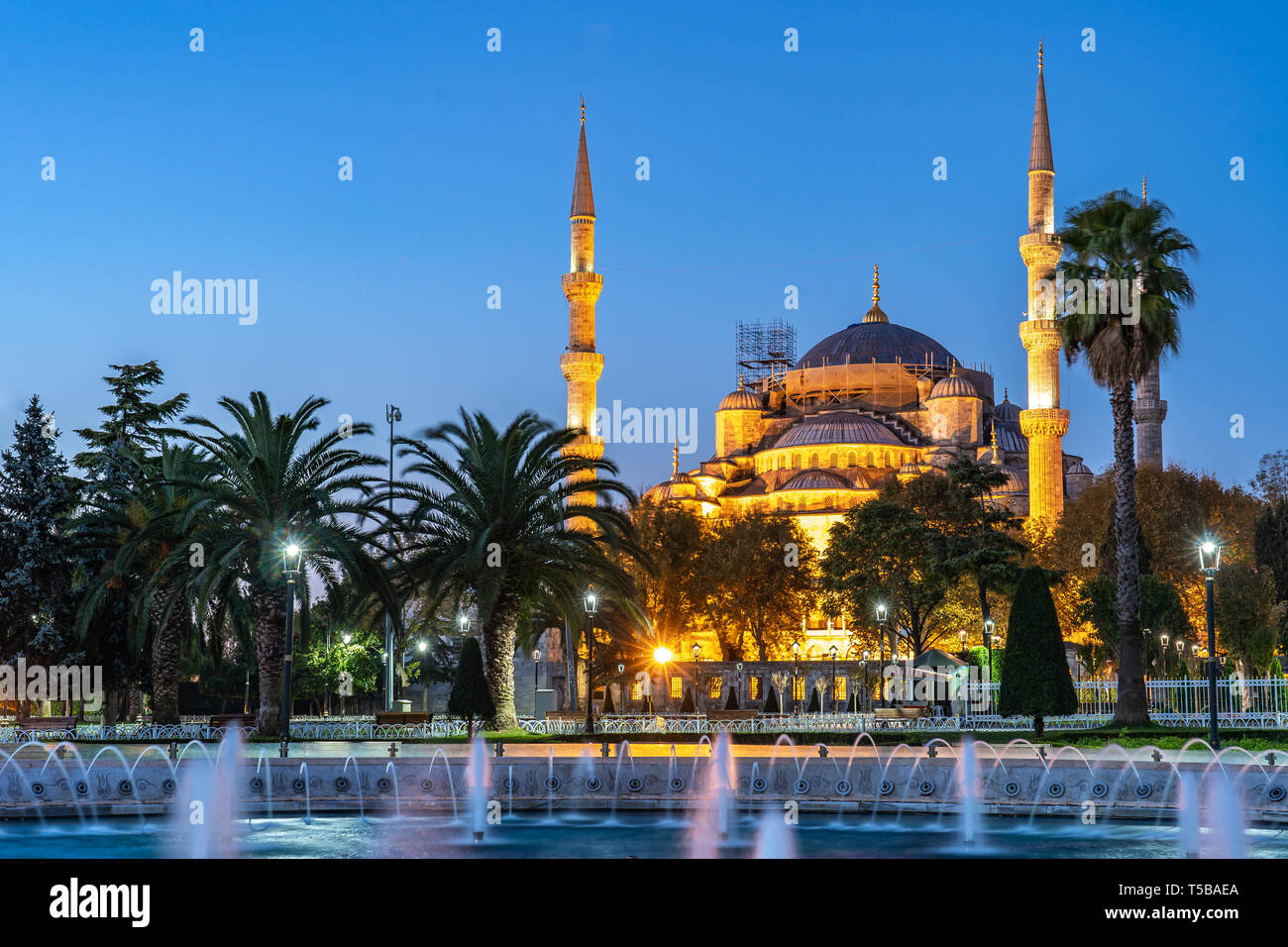 Night view of Blue Mosque in Istanbul city, Turkey Stock Photo - Alamy