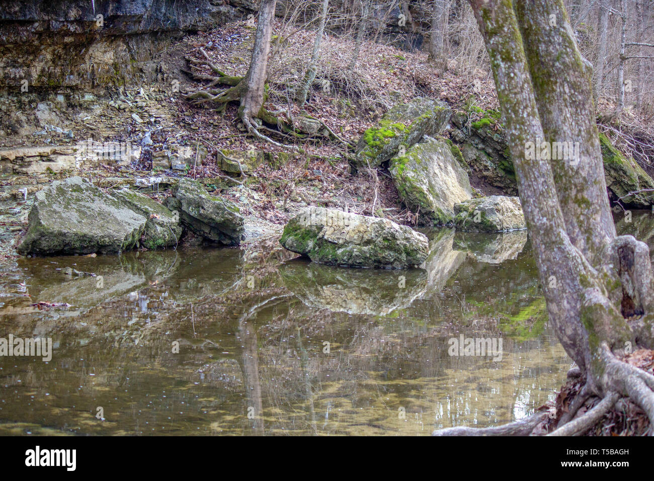 Reflections on a small river along a cliff in Missouri Stock Photo