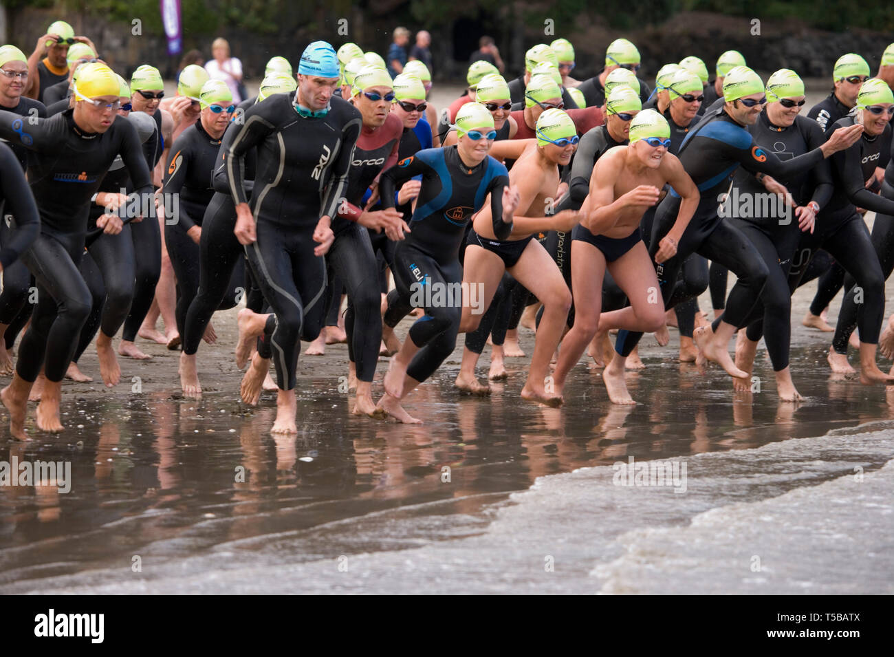 swimwear takapuna