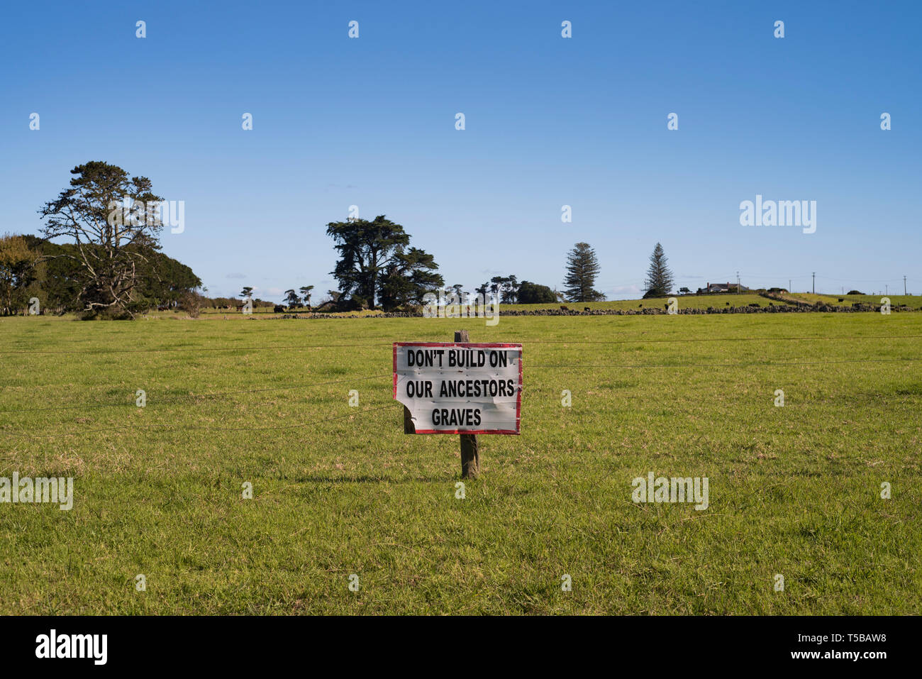Auckland, New Zealand 2019. Political activism to conserve land at Ihumaatao Stock Photo