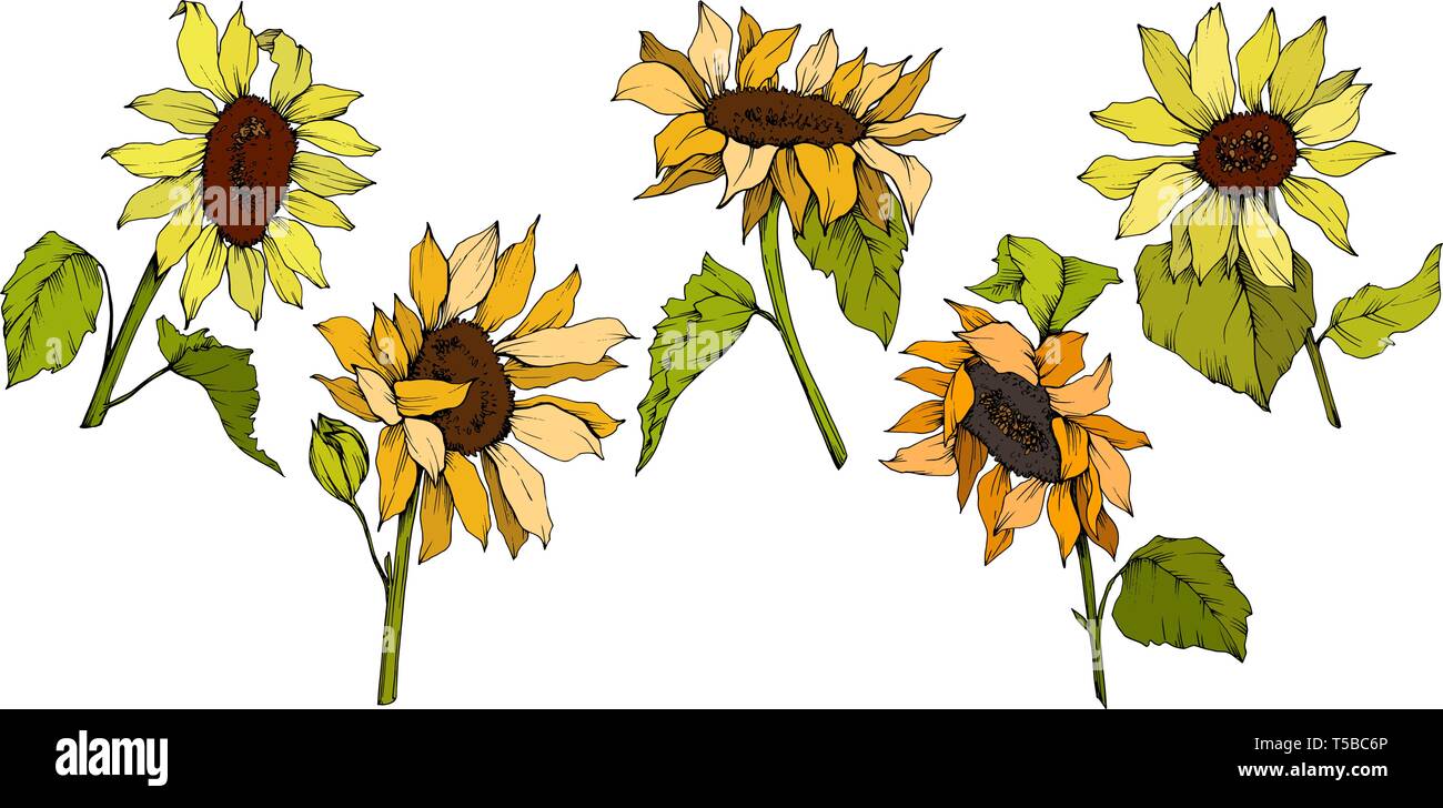 Free Free 301 Rustic Sunflower Svg SVG PNG EPS DXF File